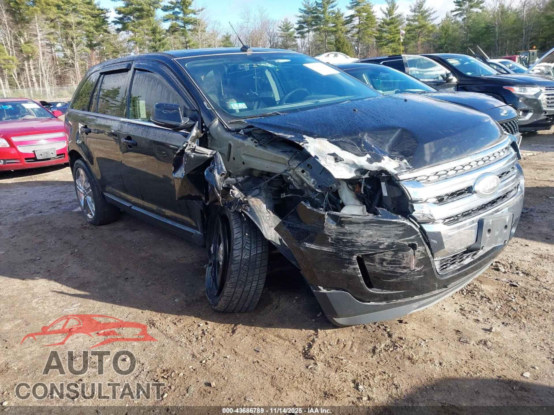 FORD EDGE 2014 - 2FMDK4KC2EBA22447