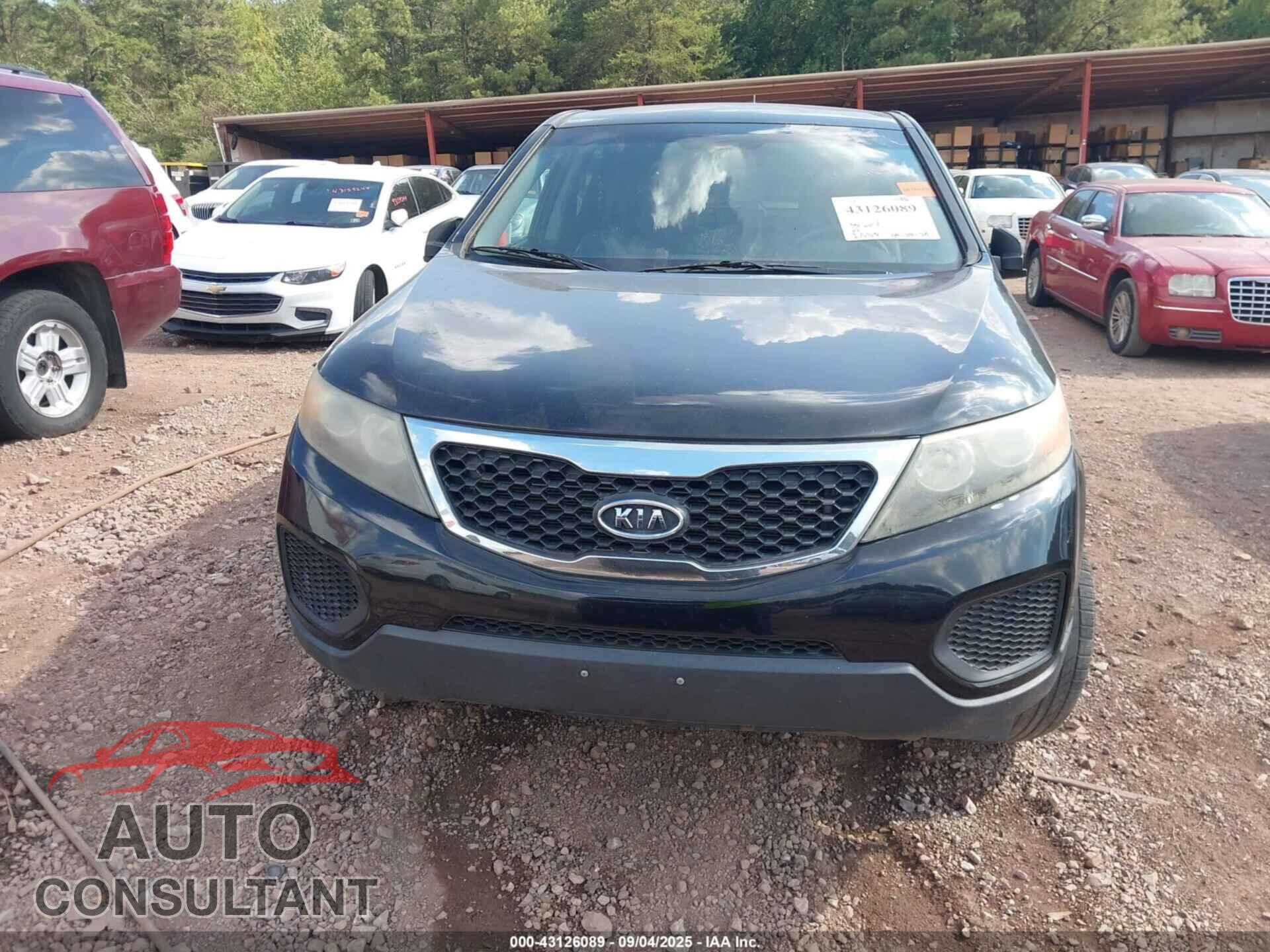 KIA SORENTO 2011 - 5XYKTCA14BG072373