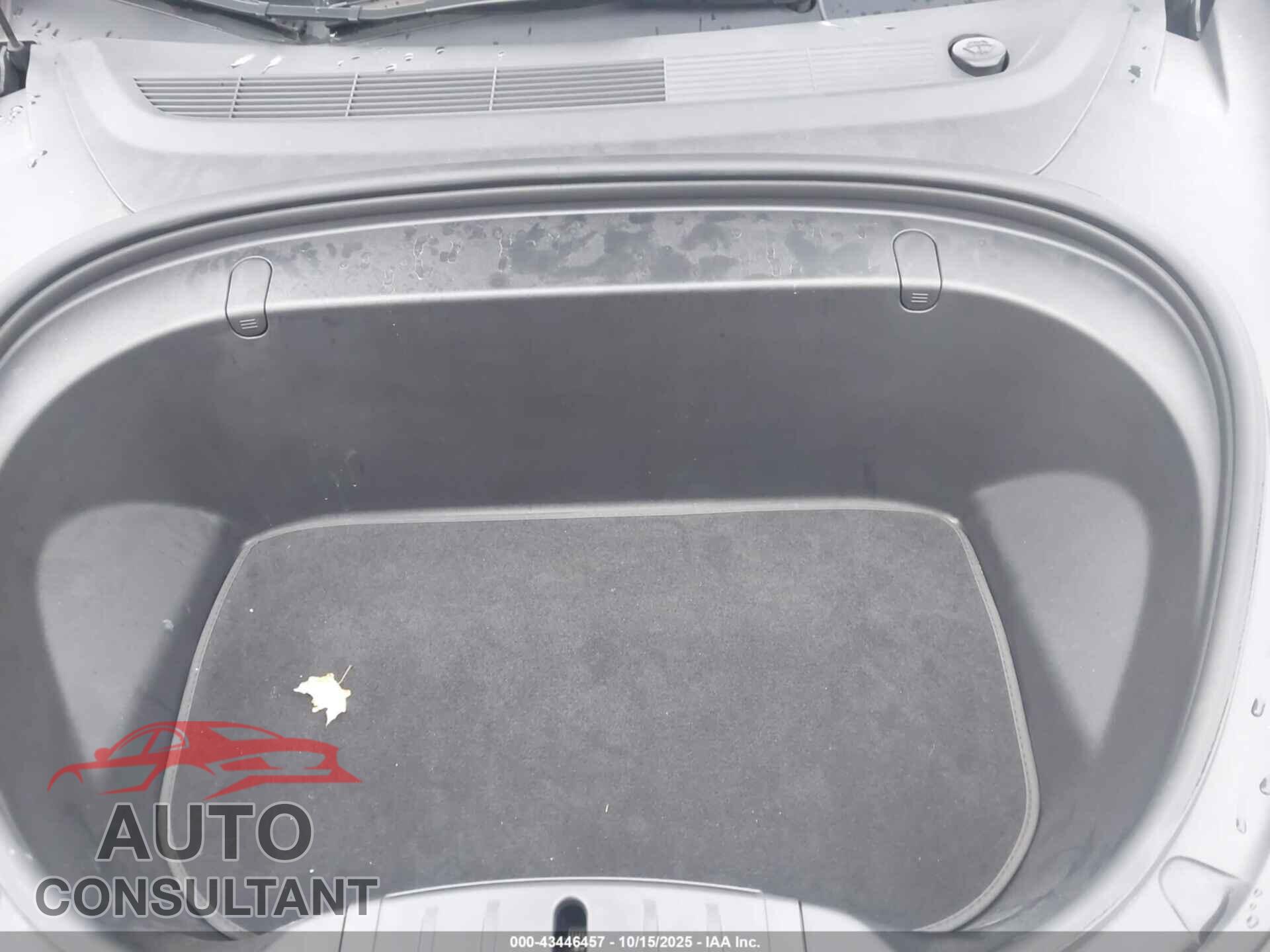 TESLA MODEL 3 2019 - 5YJ3E1EB3KF388196