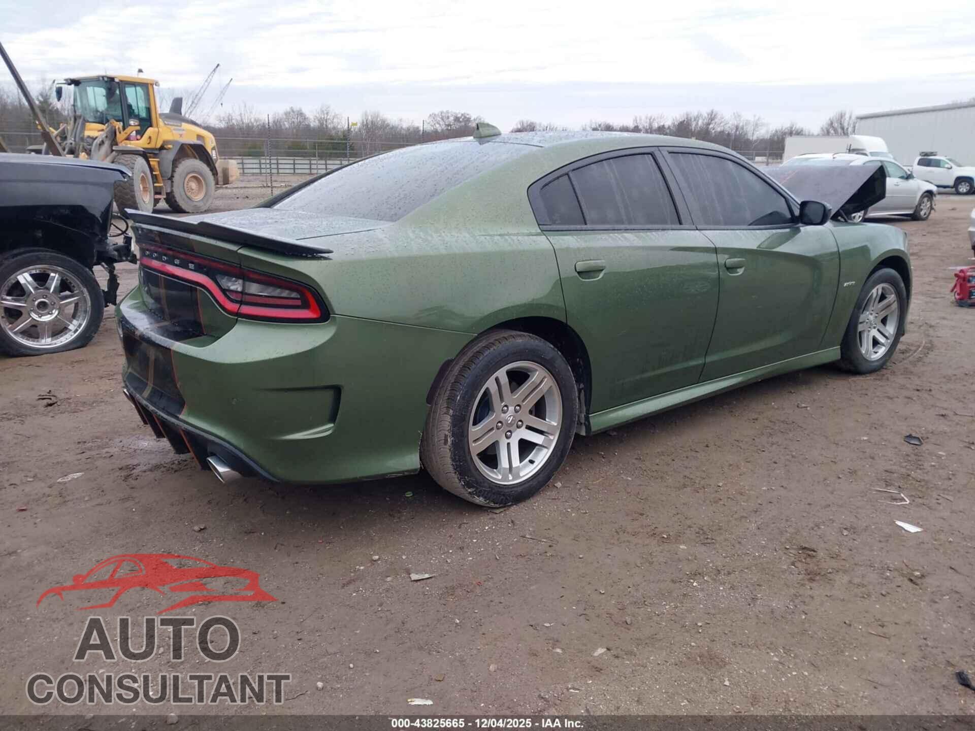 DODGE CHARGER 2019 - 2C3CDXCT4KH508166