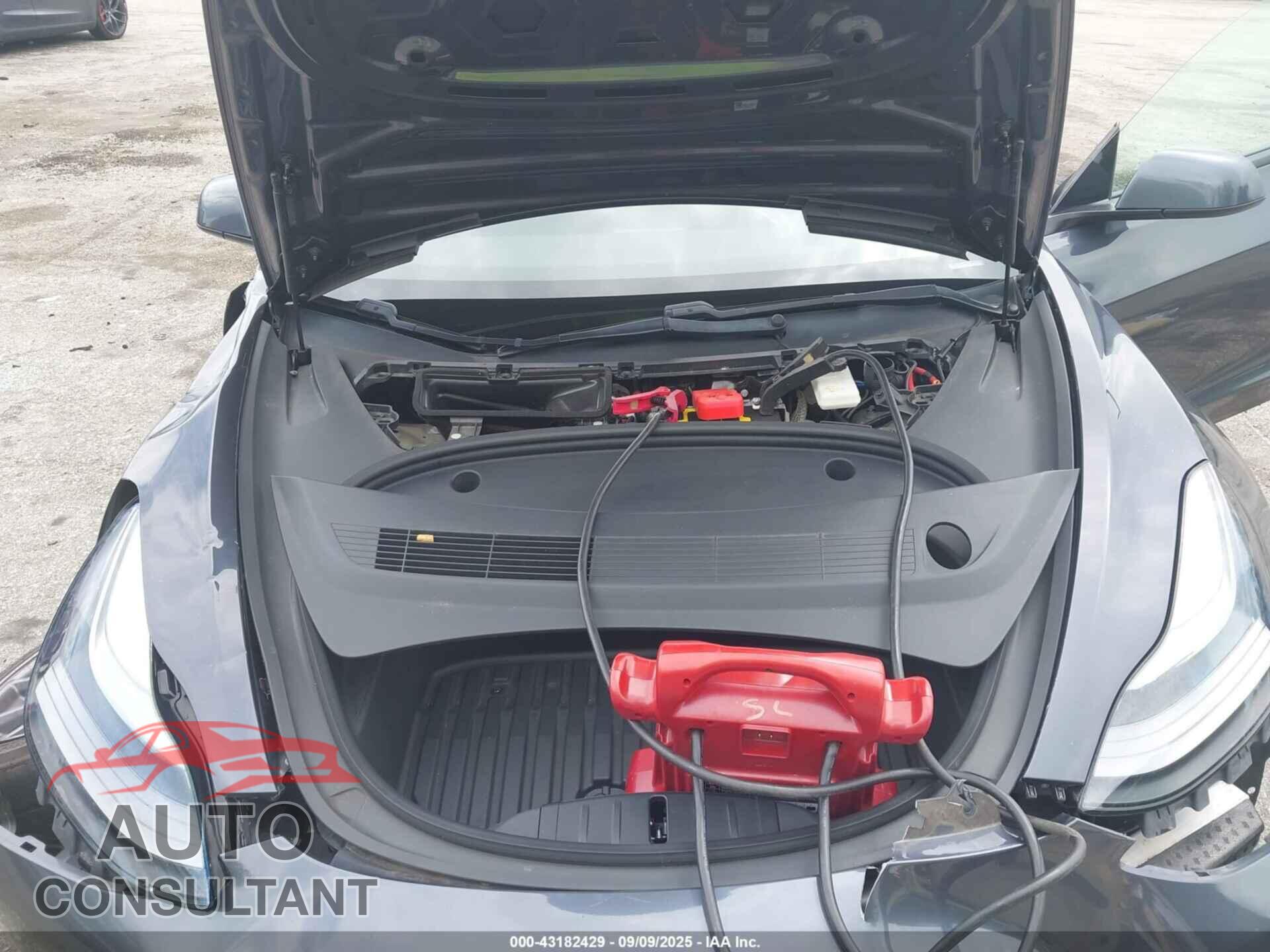 TESLA MODEL 3 2021 - 5YJ3E1EA1MF077795
