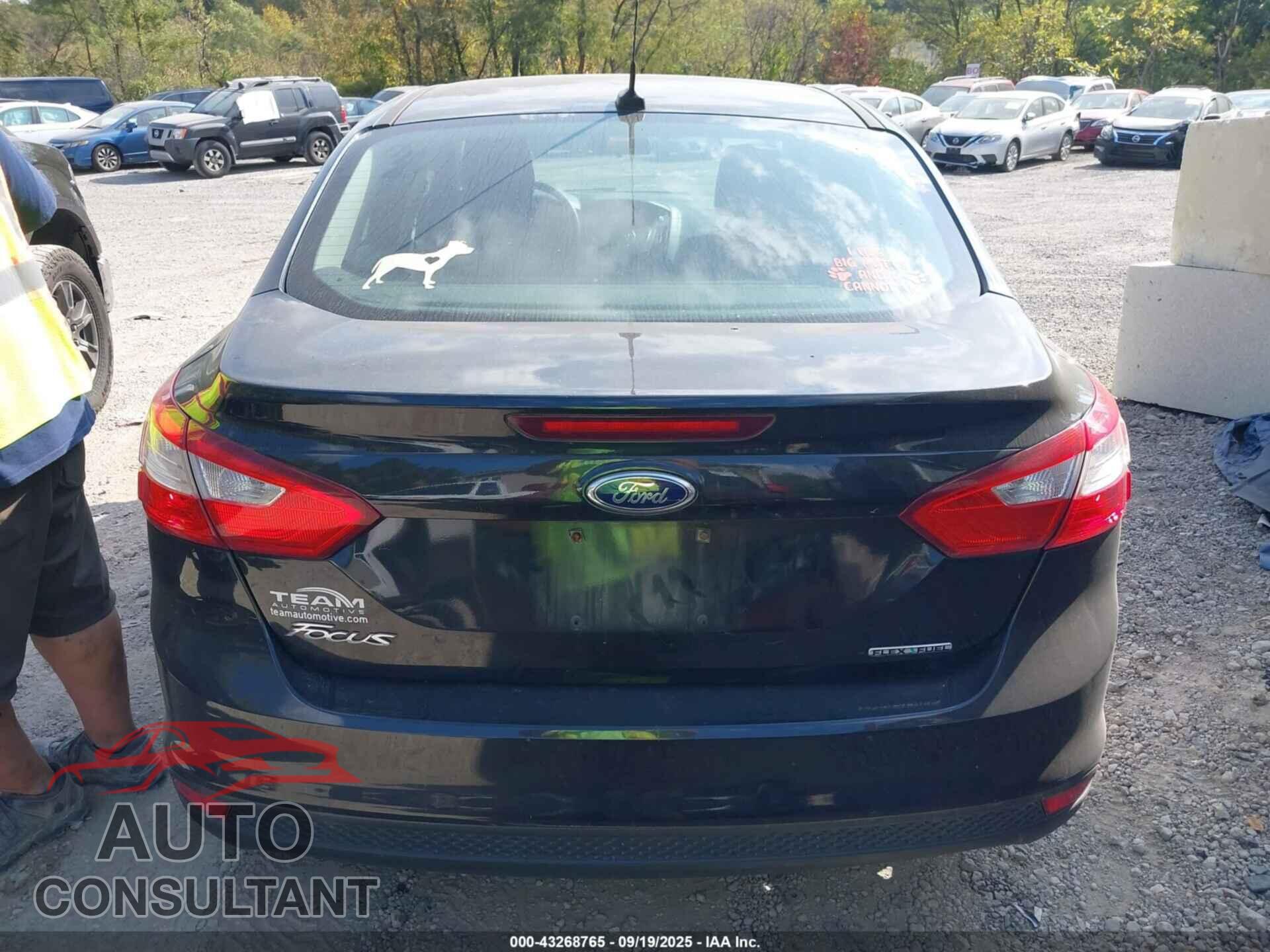 FORD FOCUS 2014 - 1FADP3E29EL245318
