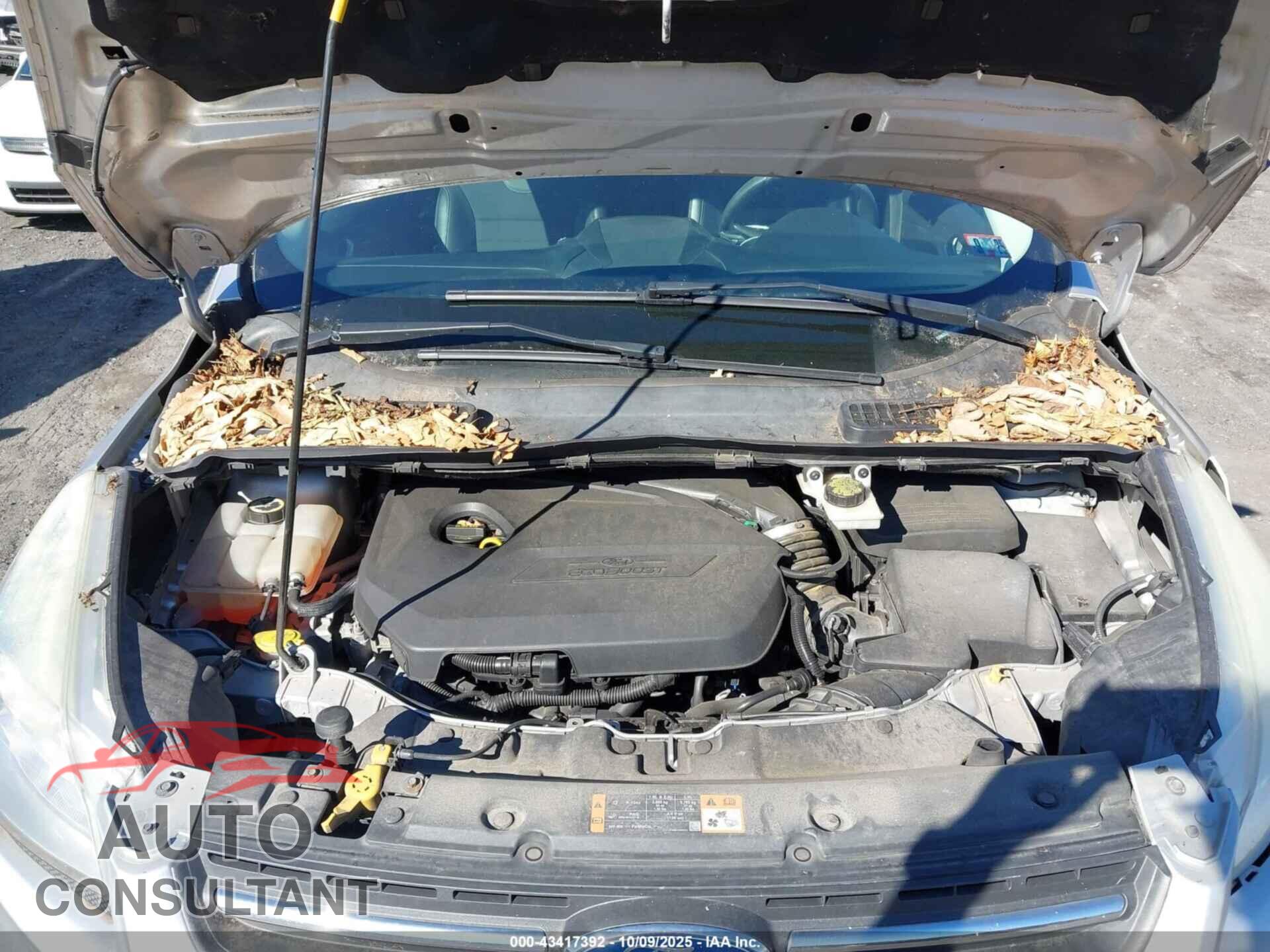 FORD ESCAPE 2014 - 1FMCU9GX0EUE32690