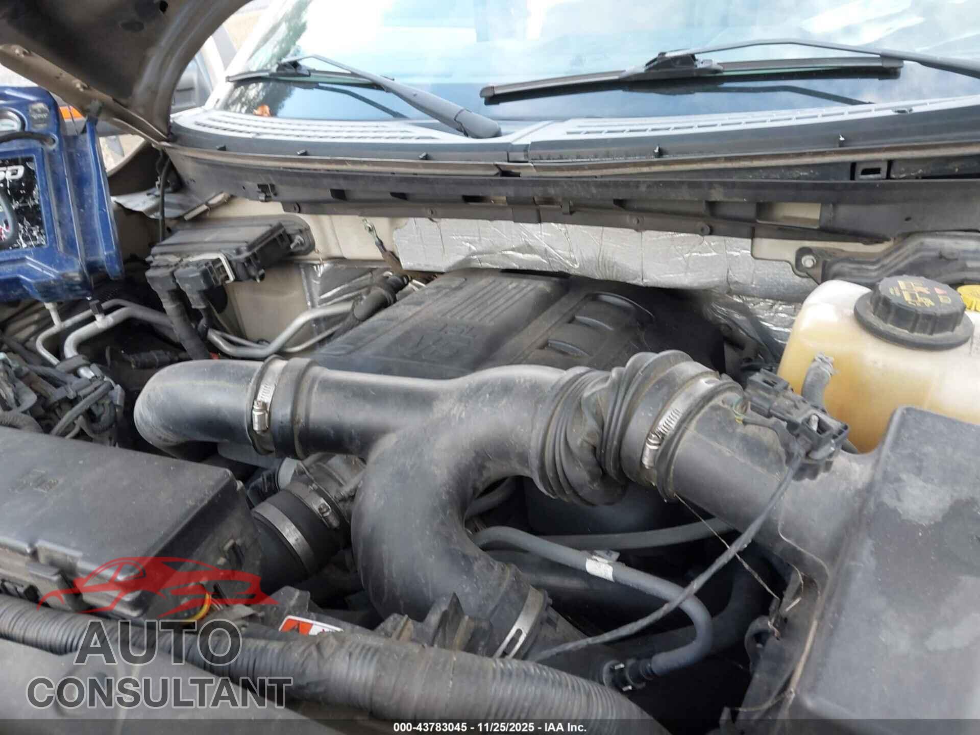 FORD F-150 2013 - 1FTFW1ET2DFD95495