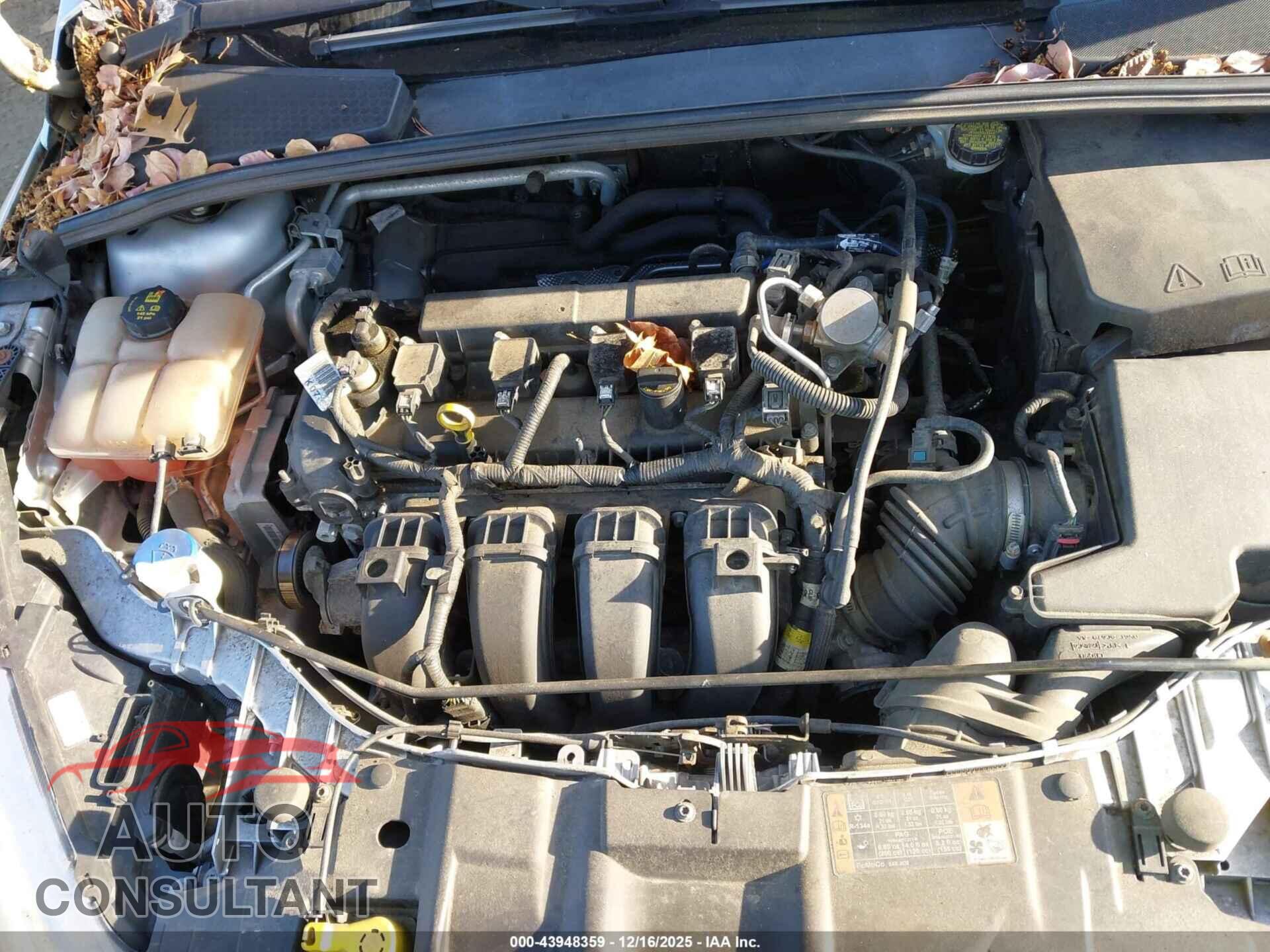 FORD FOCUS 2016 - 1FADP3E22GL393801