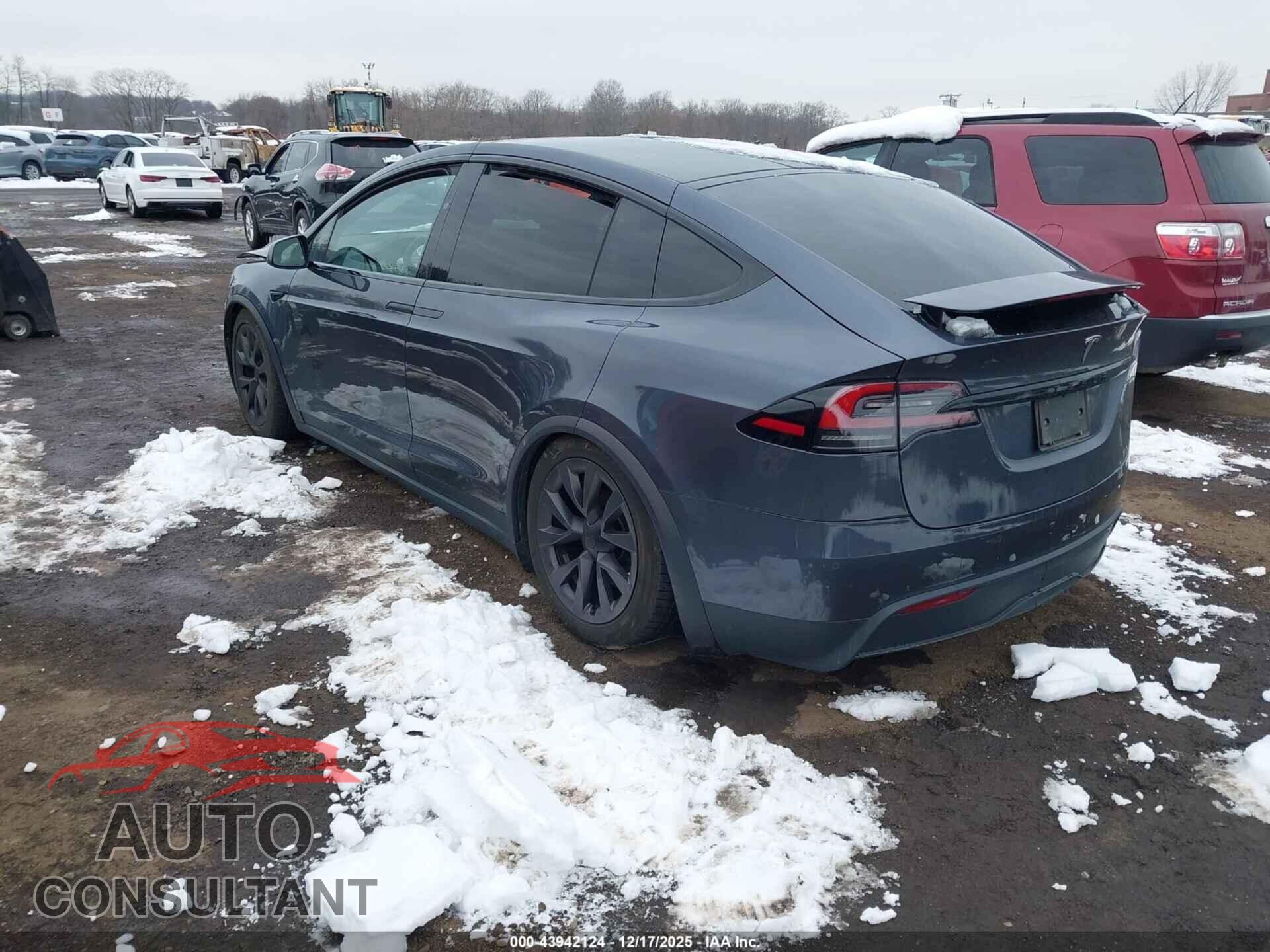 TESLA MODEL X 2023 - 7SAXCDE59PF381086
