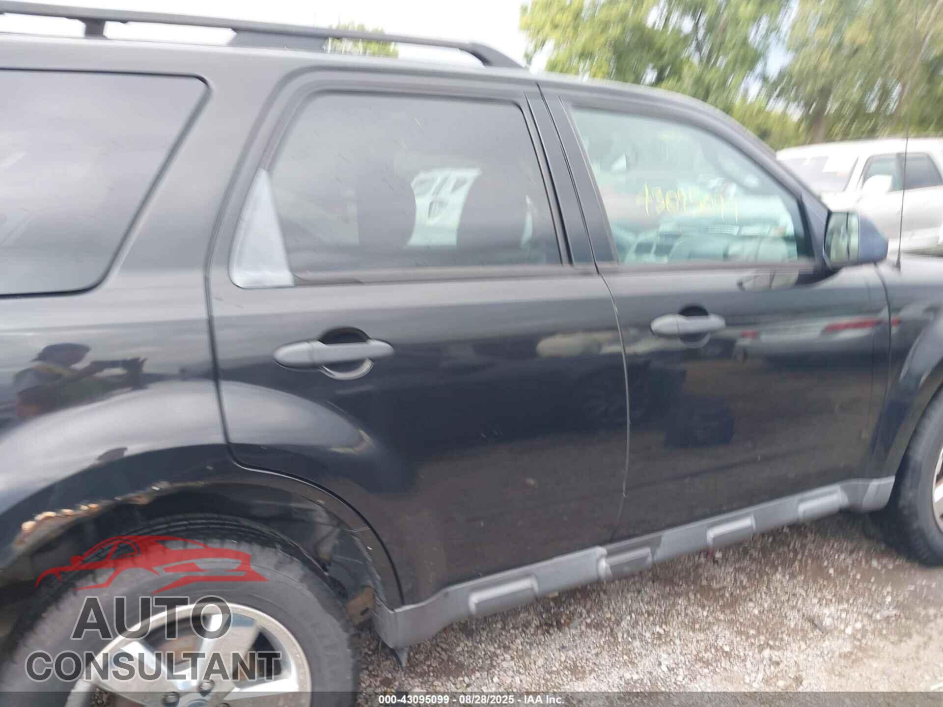 FORD ESCAPE 2011 - 1FMCU9D71BKC61699