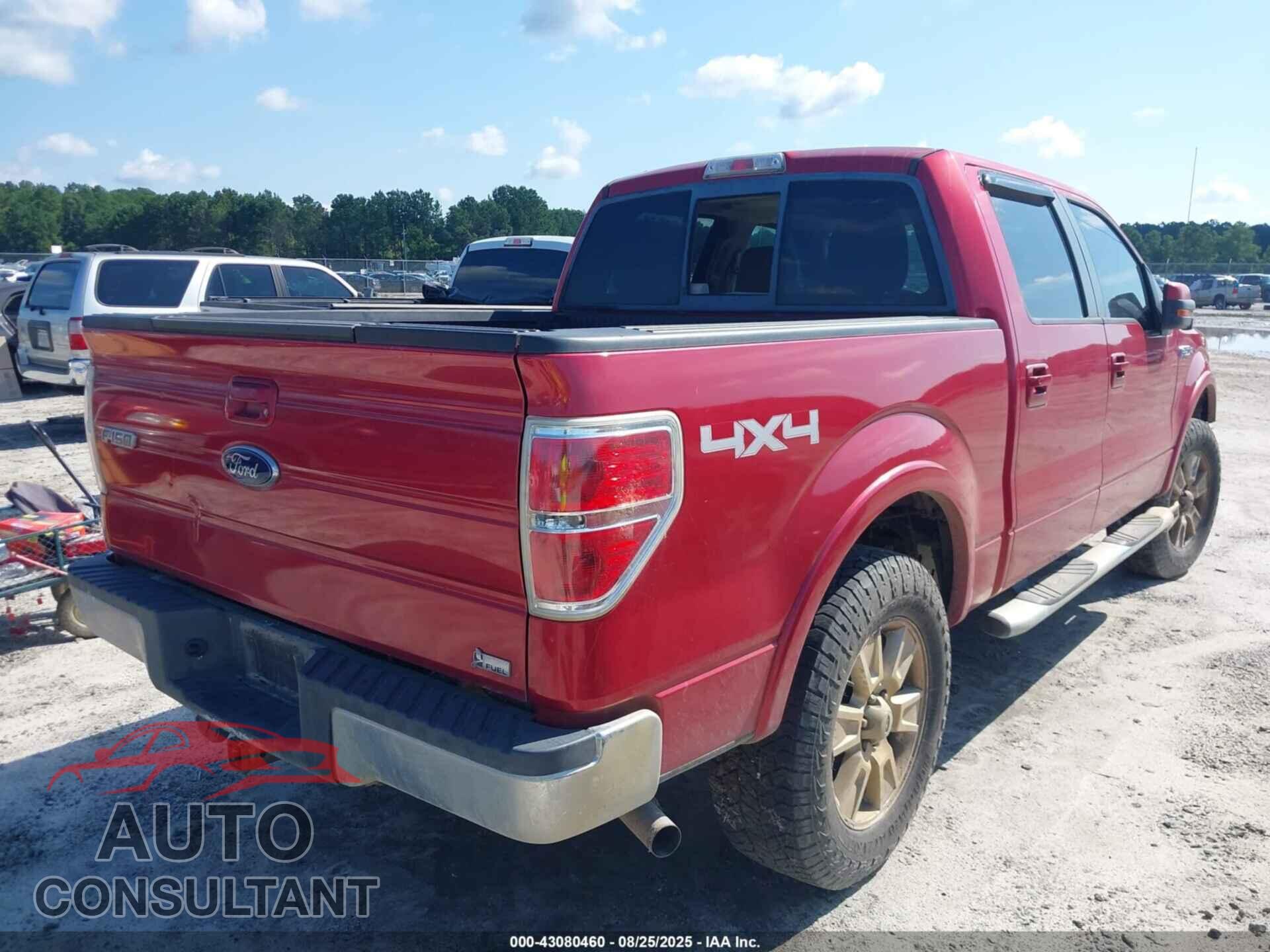 FORD F-150 2010 - 1FTFW1EV9AFD51135