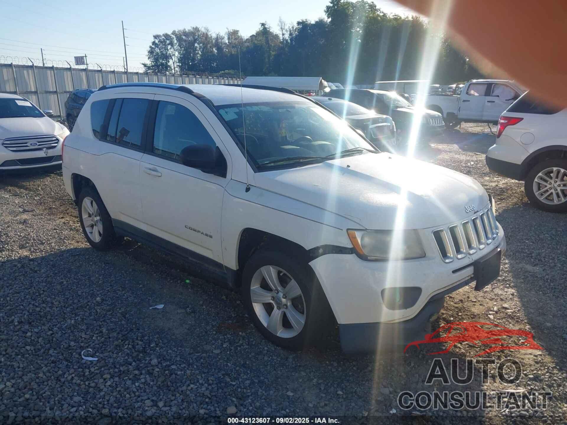 JEEP COMPASS 2011 - 1J4NF1FB5BD163994