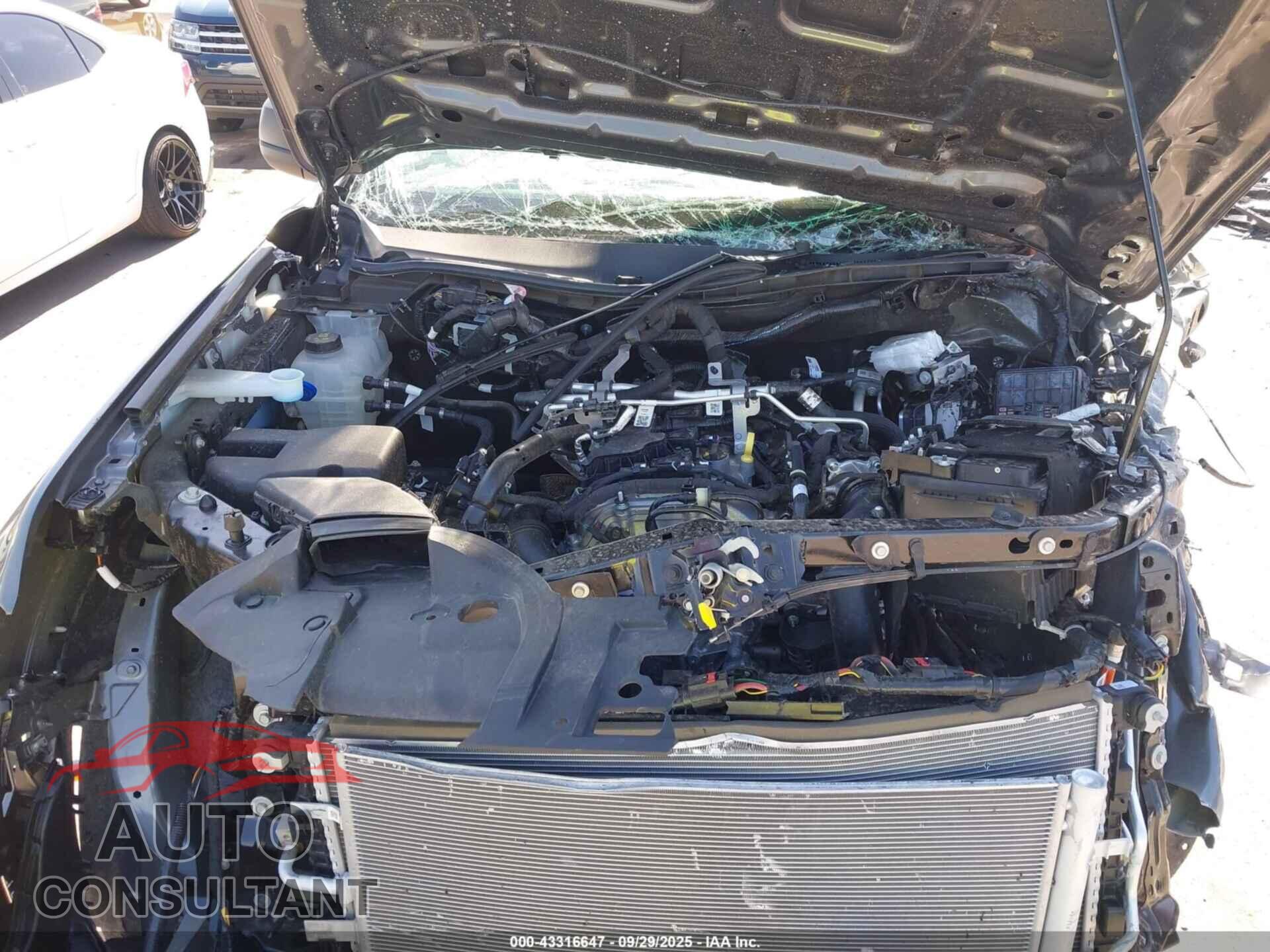 FORD RANGER 2025 - 1FTER4PH3SLE22702