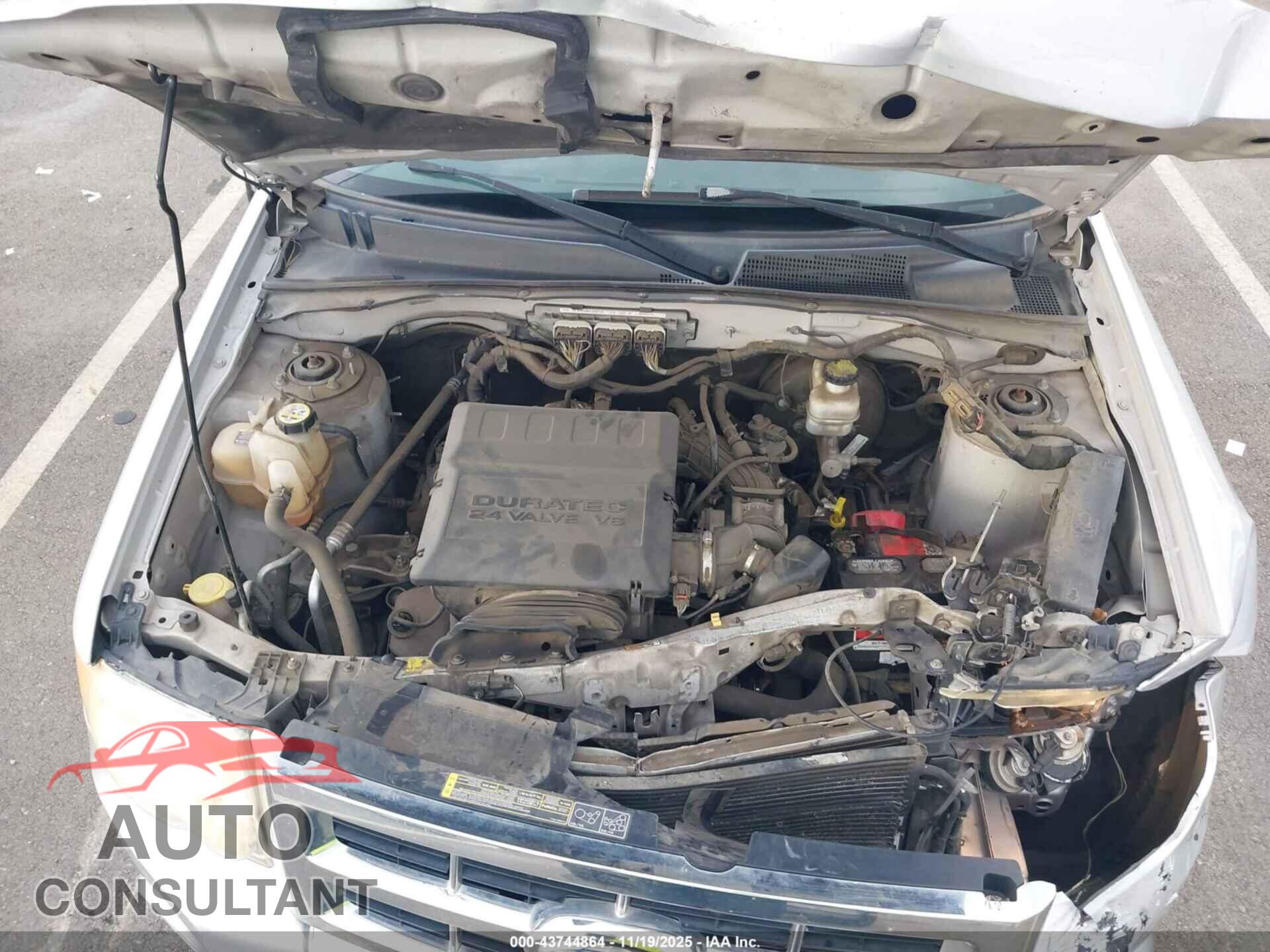 FORD ESCAPE 2011 - 1FMCU0DG2BKC10885