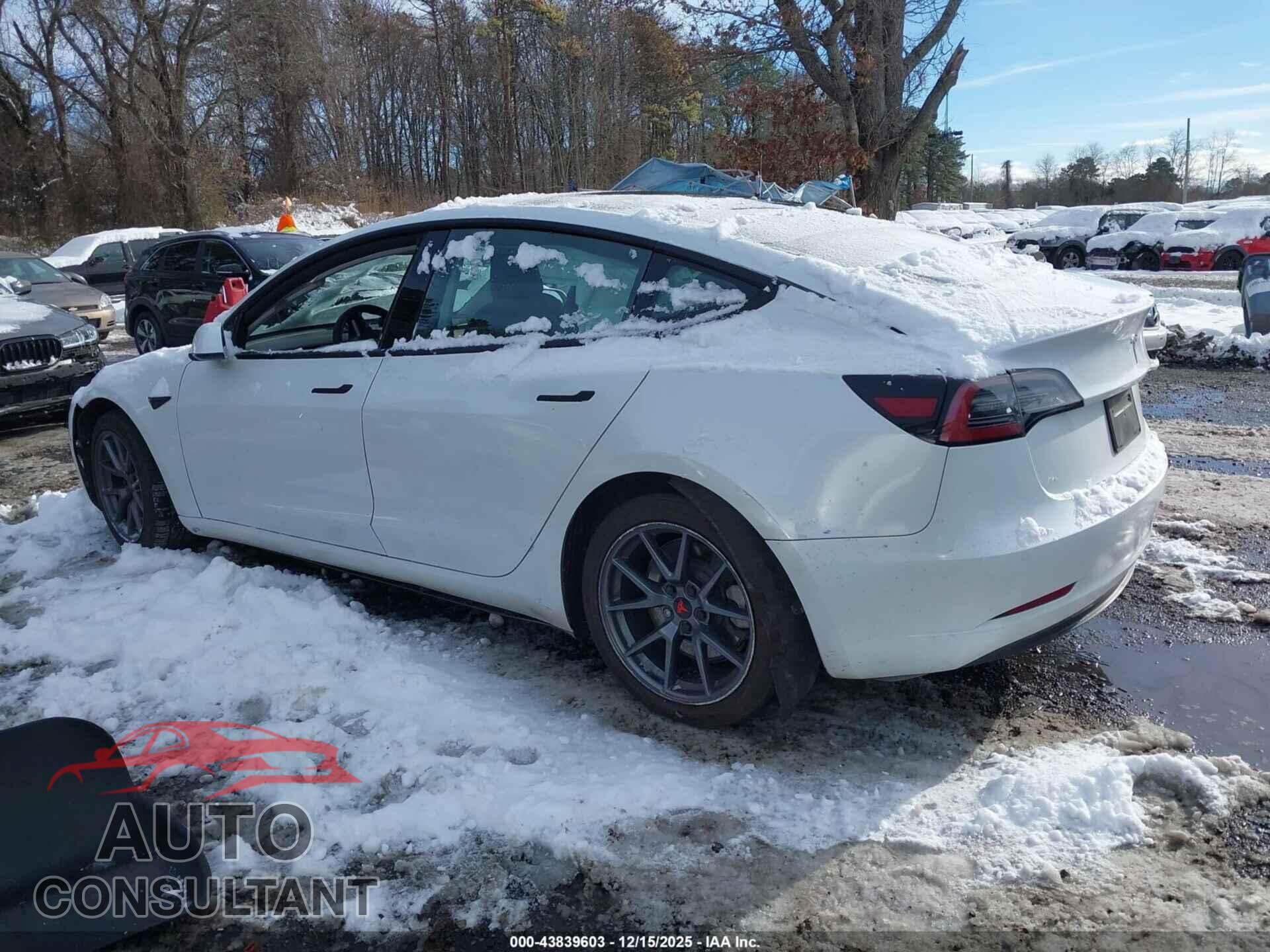 TESLA MODEL 3 2021 - 5YJ3E1EA7MF855078
