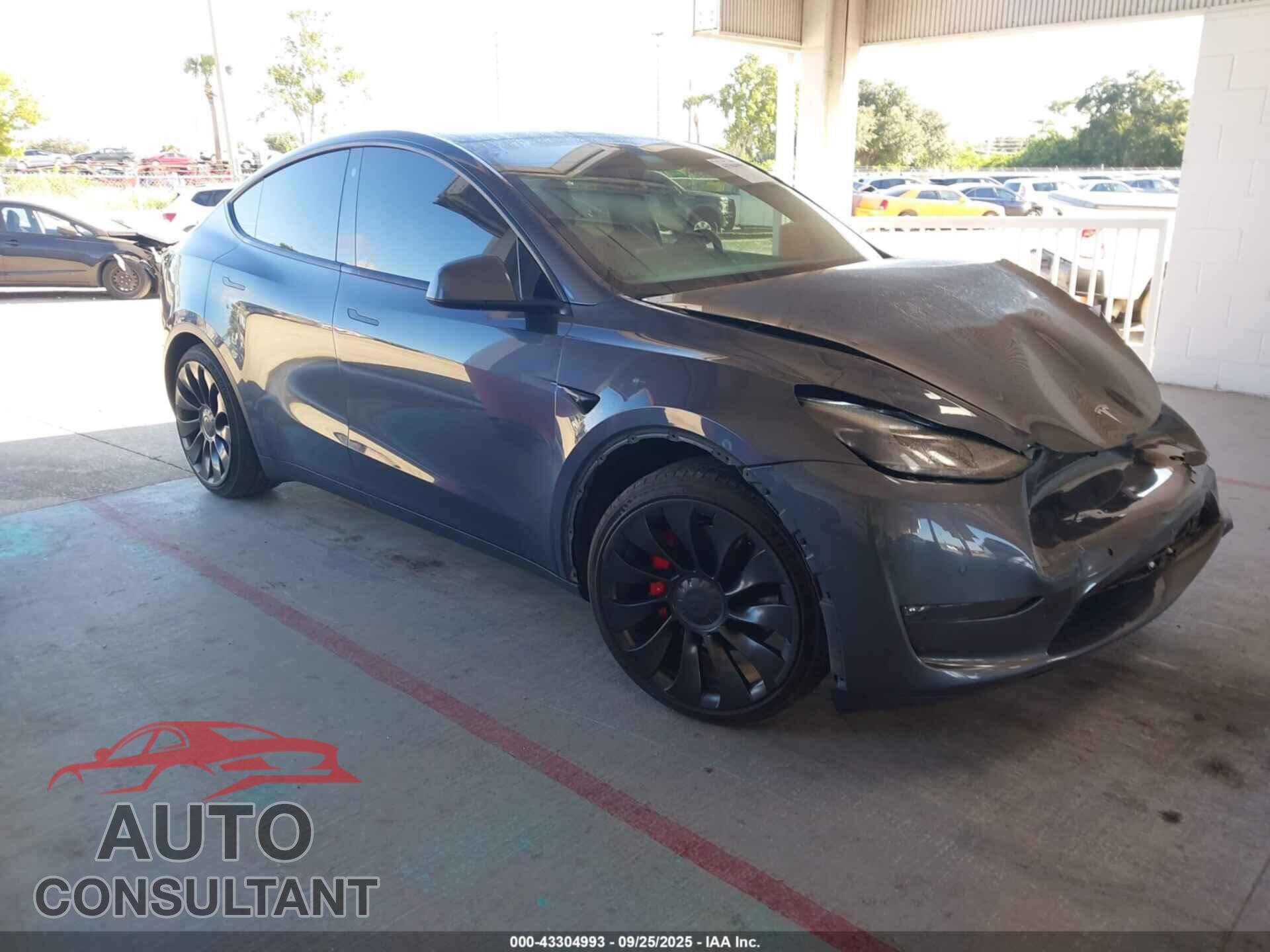 TESLA MODEL Y 2022 - 7SAYGDEF1NF463697