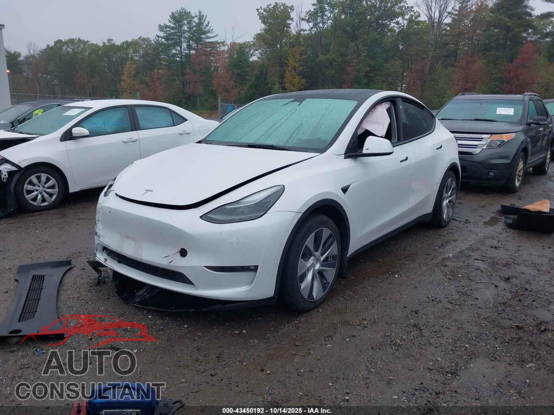 TESLA MODEL Y 2023 - 7SAYGDEE5PF686237