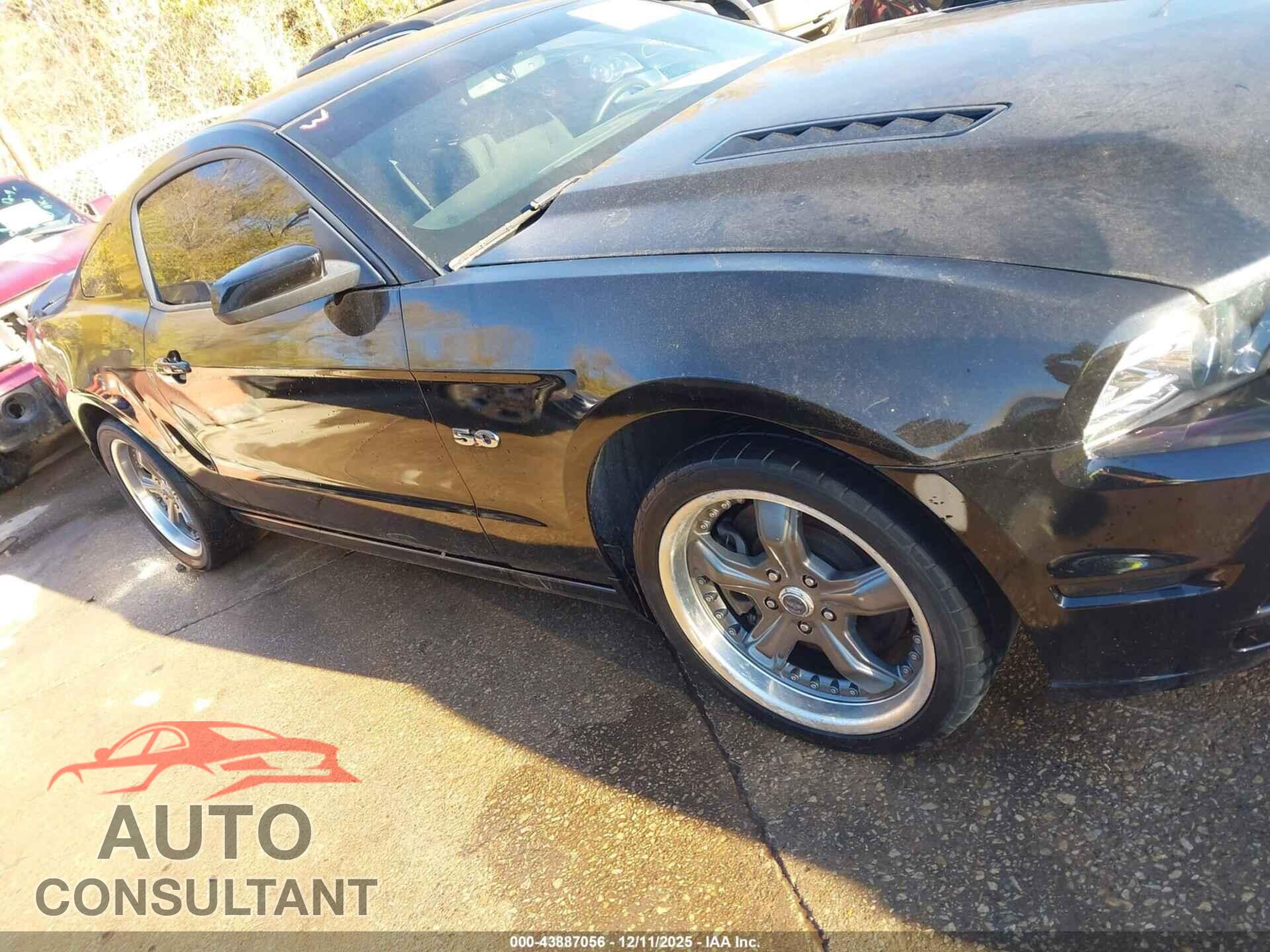 FORD MUSTANG 2014 - 1ZVBP8CF8E5243548