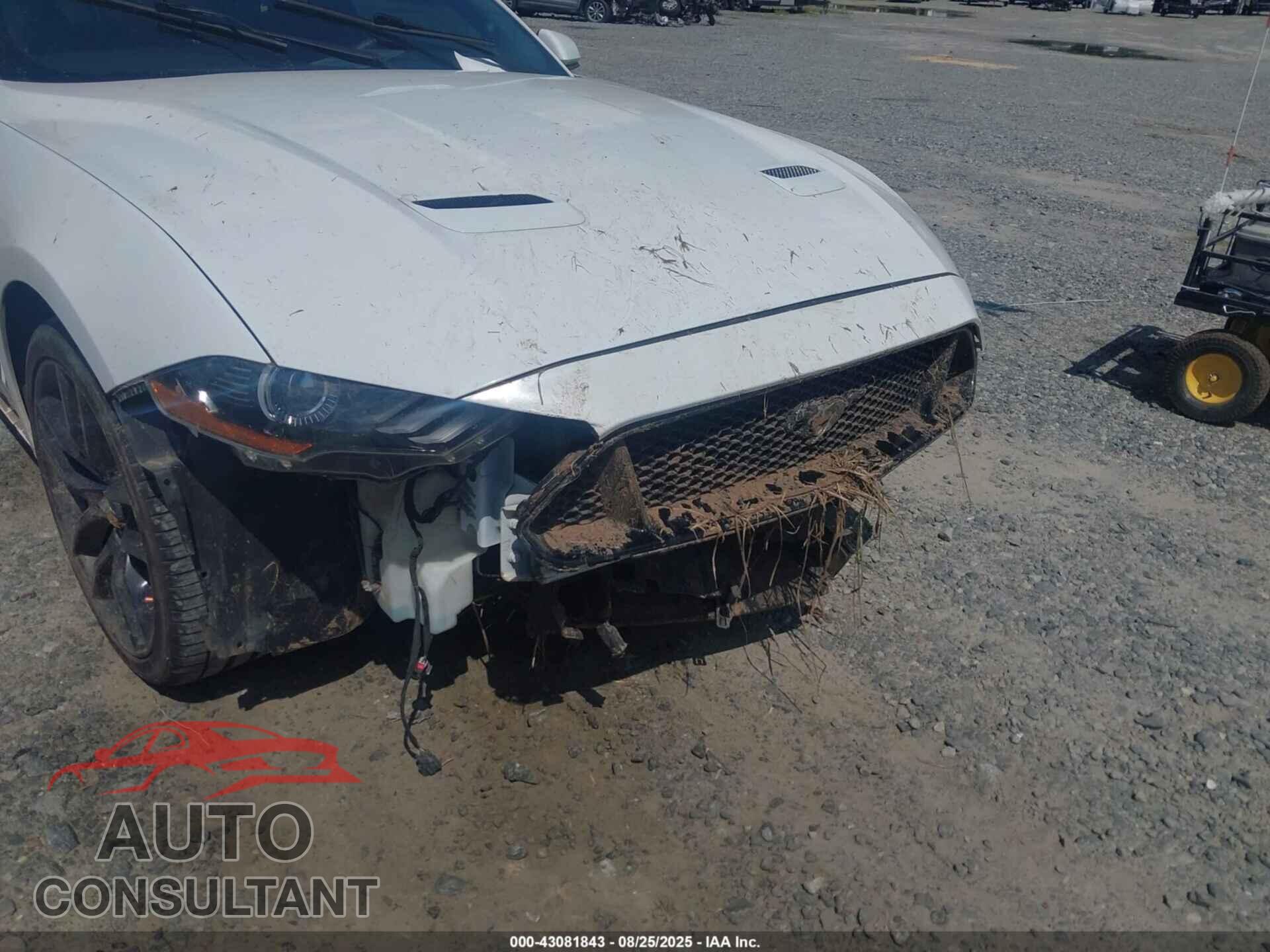 FORD MUSTANG 2018 - 1FA6P8CF2J5117979