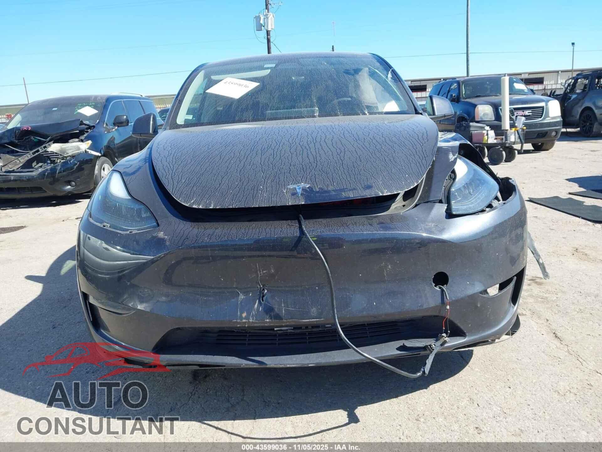 TESLA MODEL Y 2024 - 7SAYGDEF2RA311205