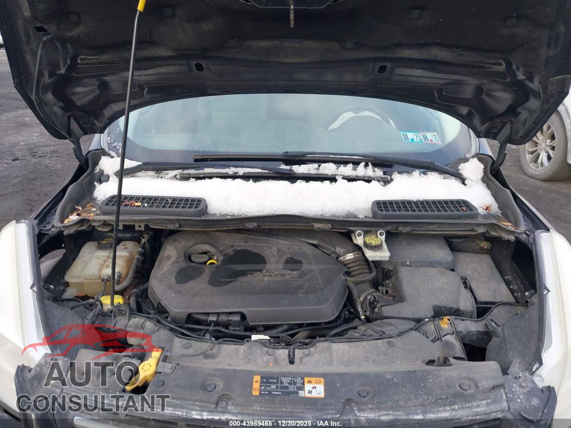 FORD ESCAPE 2014 - 1FMCU0GX4EUB04328