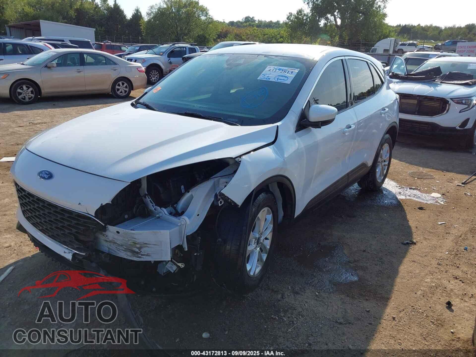 FORD ESCAPE 2020 - 1FMCU0G65LUB03127