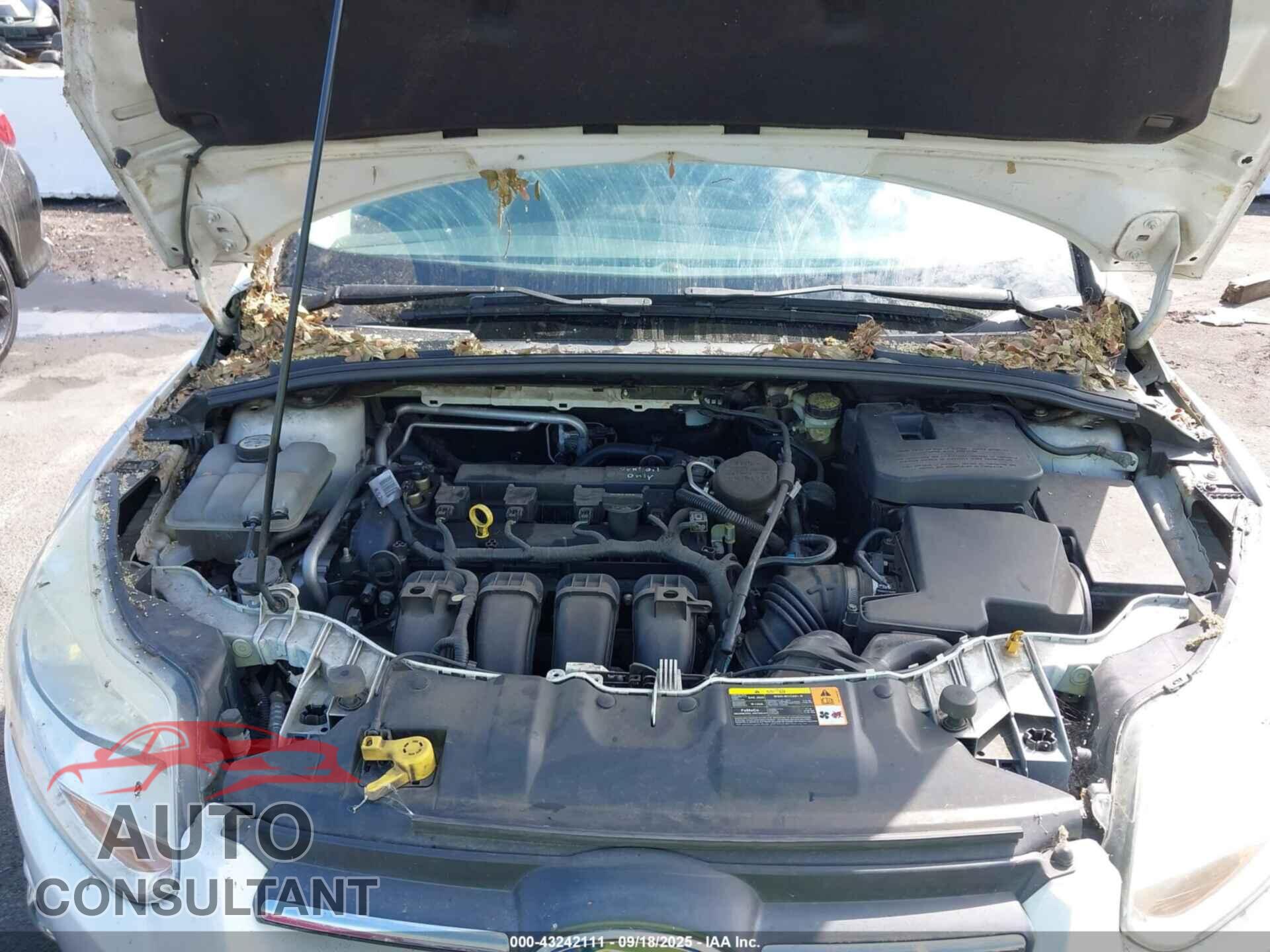 FORD FOCUS 2012 - 1FAHP3F24CL146368