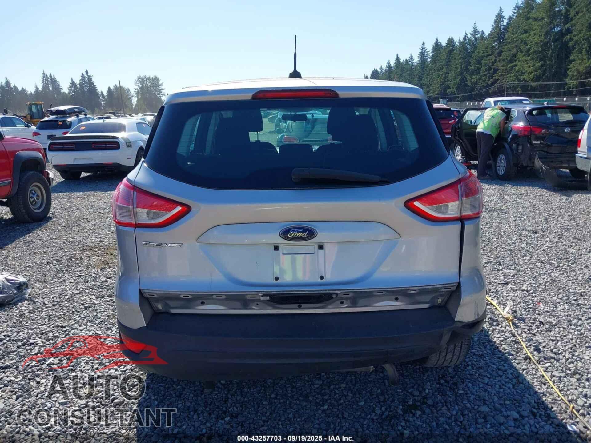 FORD ESCAPE 2013 - 1FMCU0F70DUB65594