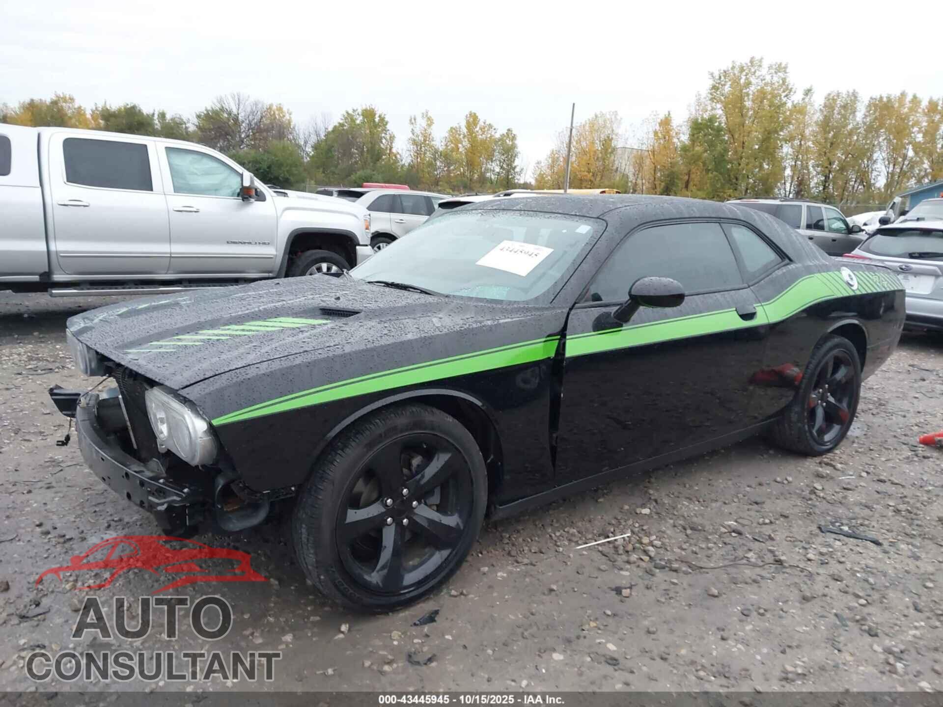DODGE CHALLENGER 2014 - 2C3CDYAG0EH311446