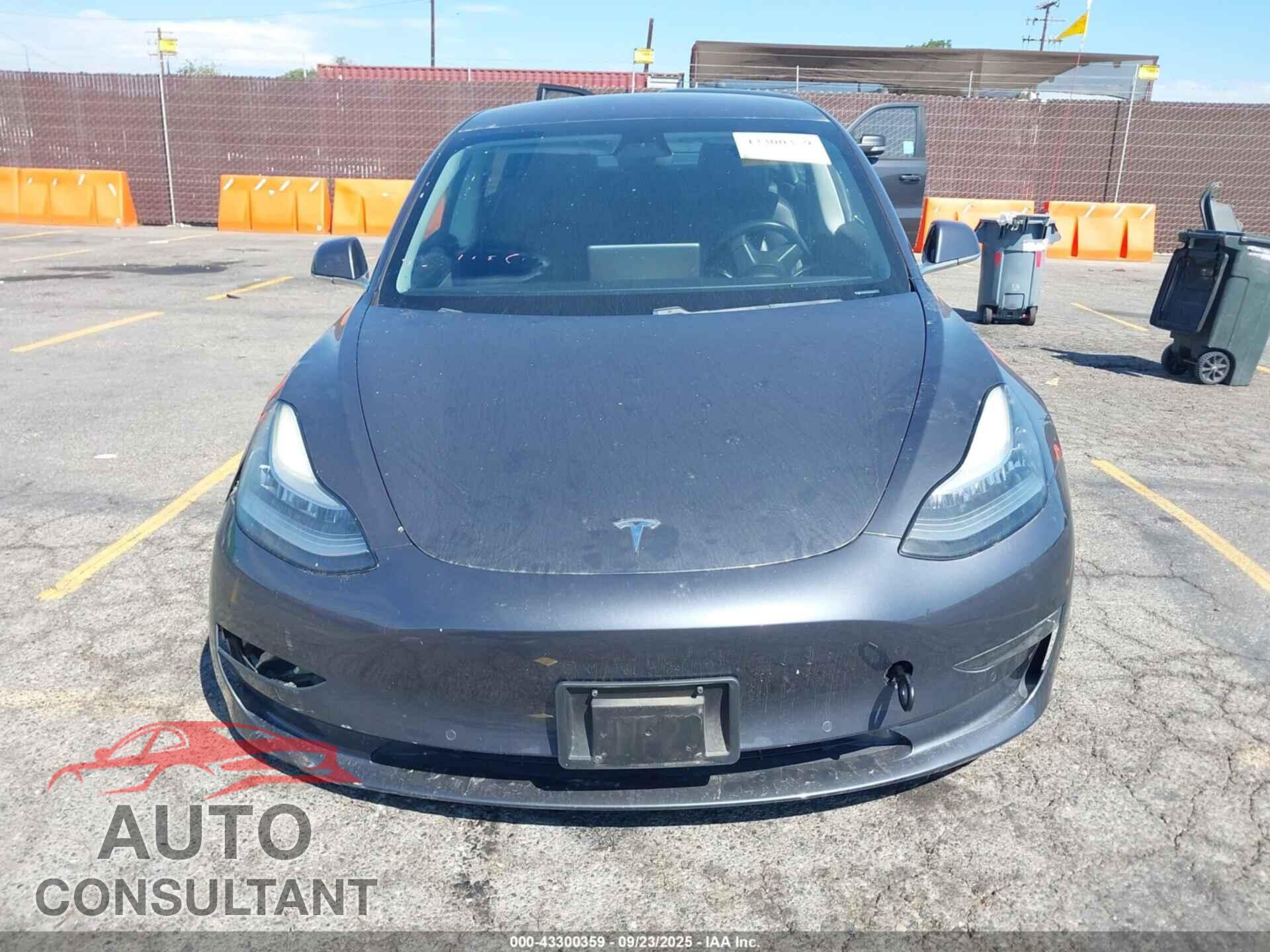 TESLA MODEL 3 2018 - 5YJ3E1EA8JF156702