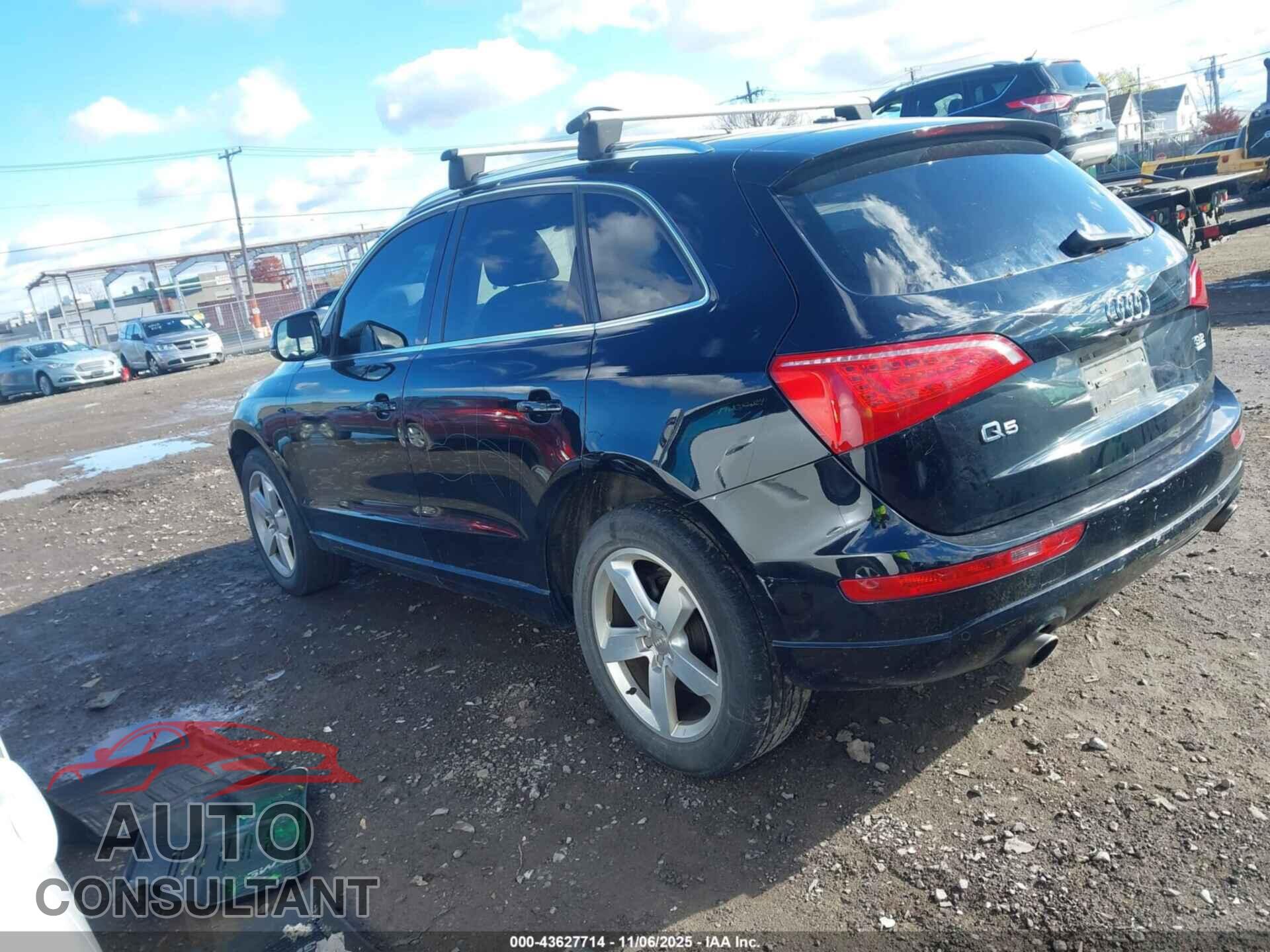 AUDI Q5 2010 - WA1VKAFP8AA091342