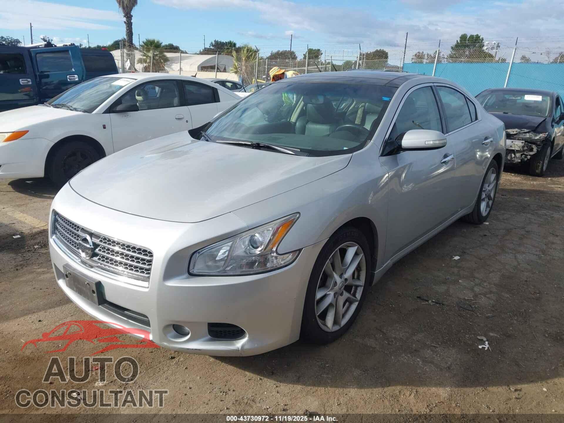 NISSAN MAXIMA 2011 - 1N4AA5AP8BC822093