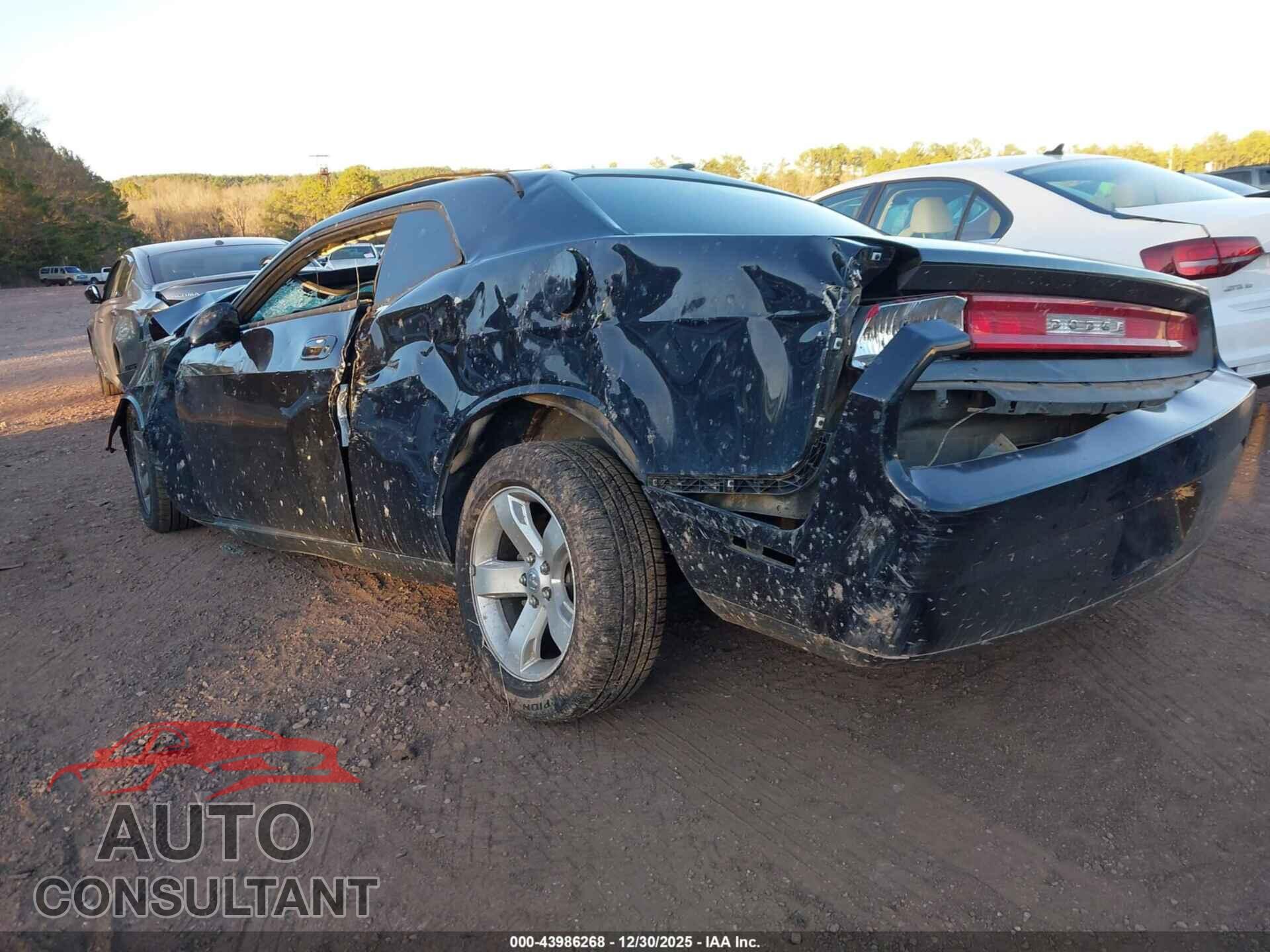 DODGE CHALLENGER 2010 - 2B3CJ4DV5AH166908