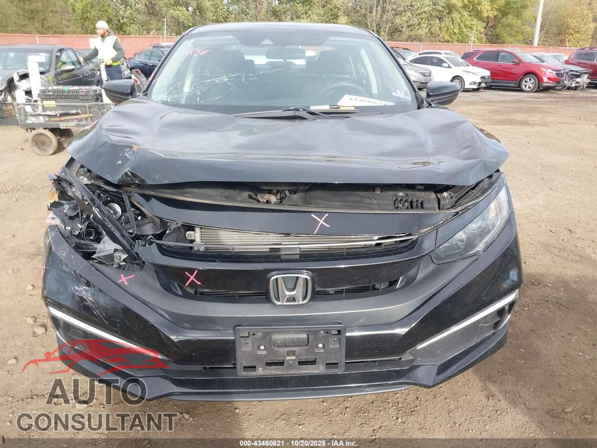 HONDA CIVIC 2019 - 2HGFC2F68KH511559