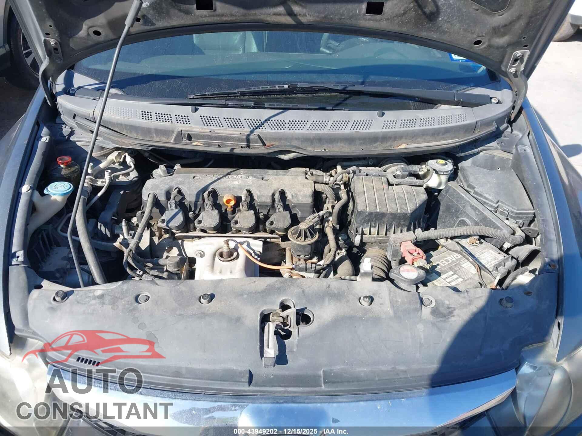 HONDA CIVIC 2010 - 19XFA1F94AE013216