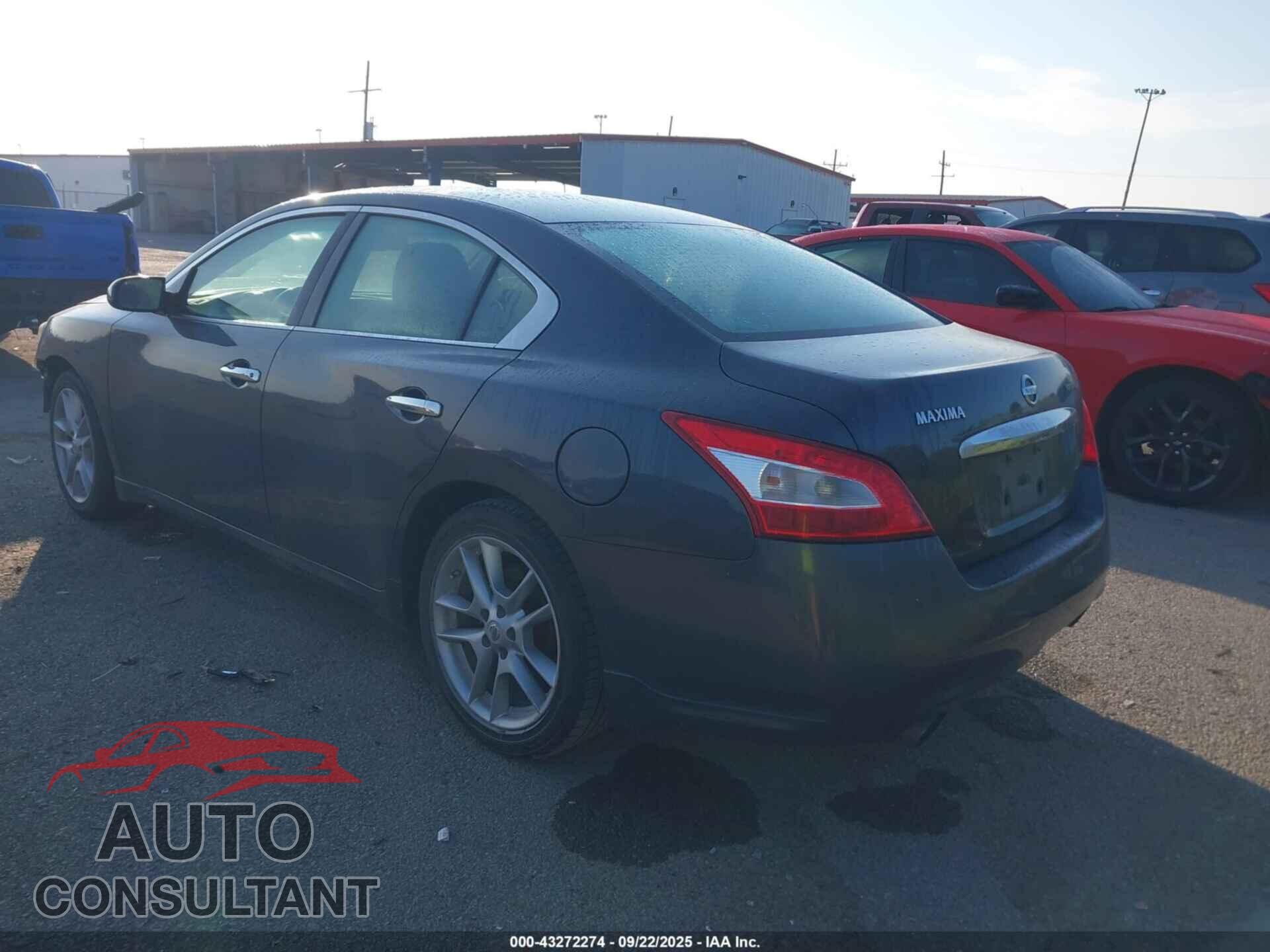NISSAN MAXIMA 2010 - 1N4AA5AP9AC869986