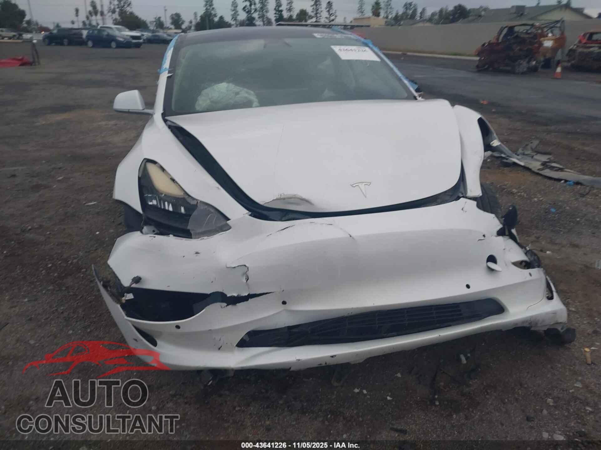 TESLA MODEL 3 2019 - 5YJ3E1EA0KF416785