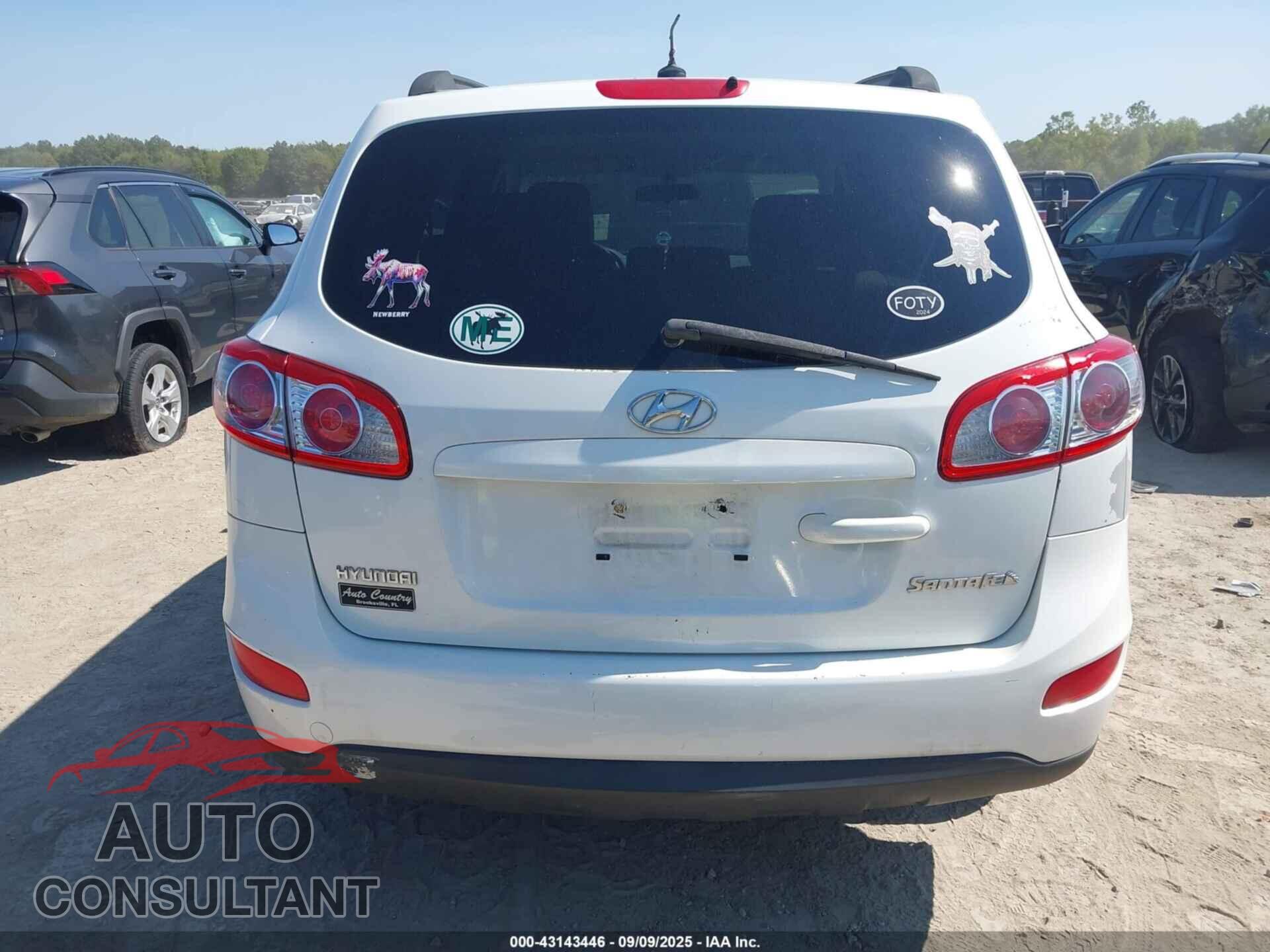 HYUNDAI SANTA FE 2010 - 5NMSG3AB4AH353817