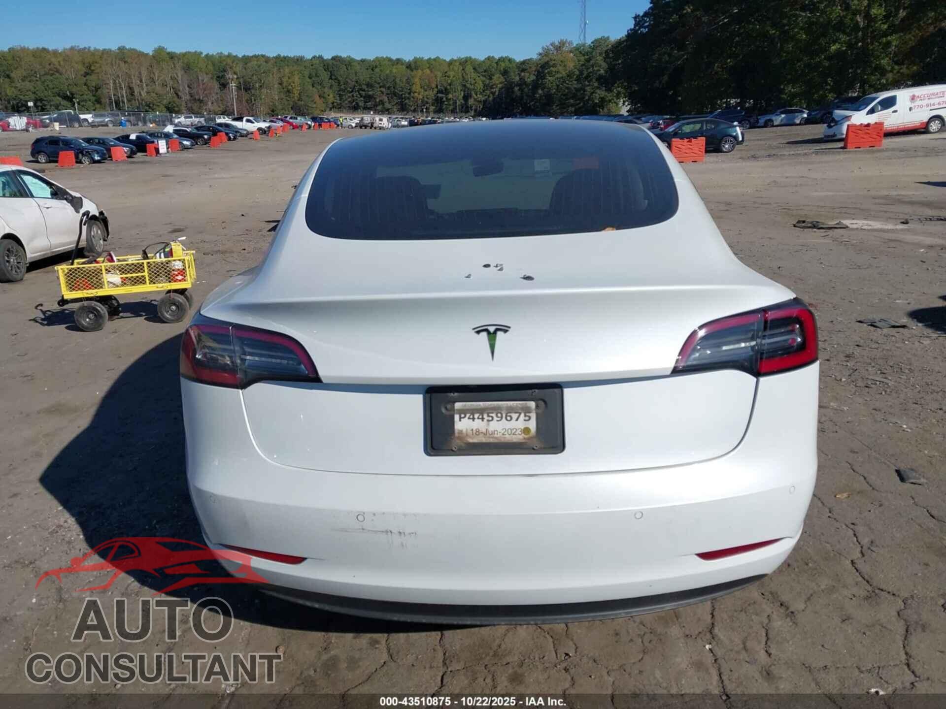 TESLA MODEL 3 2020 - 5YJ3E1EA3LF737656