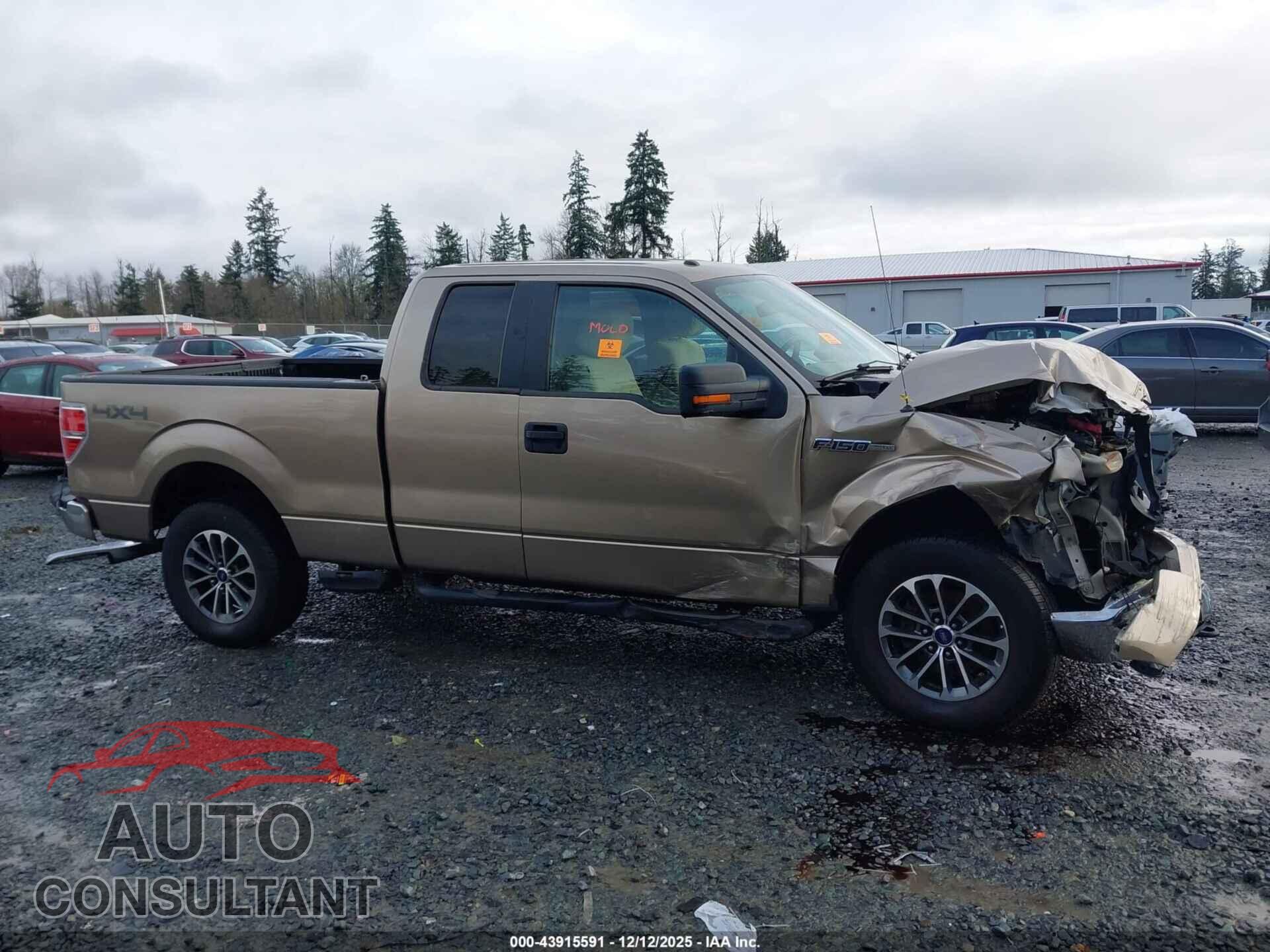 FORD F-150 2013 - 1FTFX1EF7DFC28122