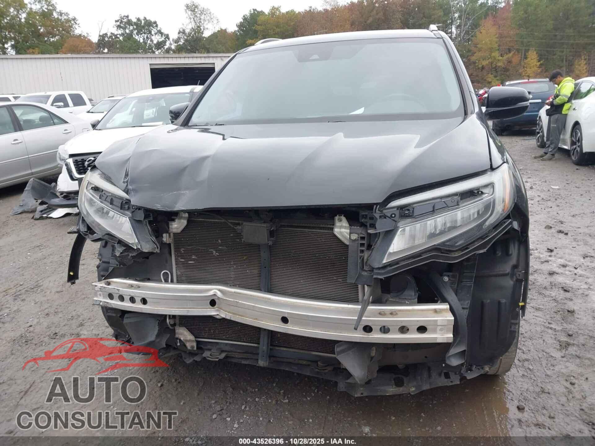 HONDA PILOT 2019 - 5FNYF5H96KB037544