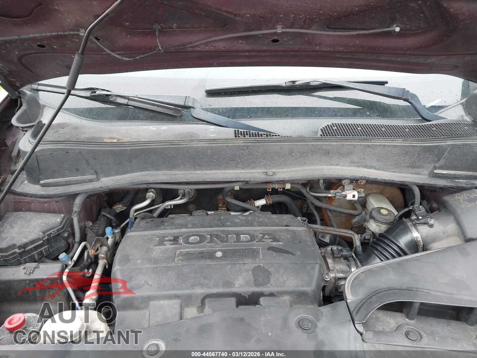 HONDA PILOT 2009 - 5FNYF48589B004871