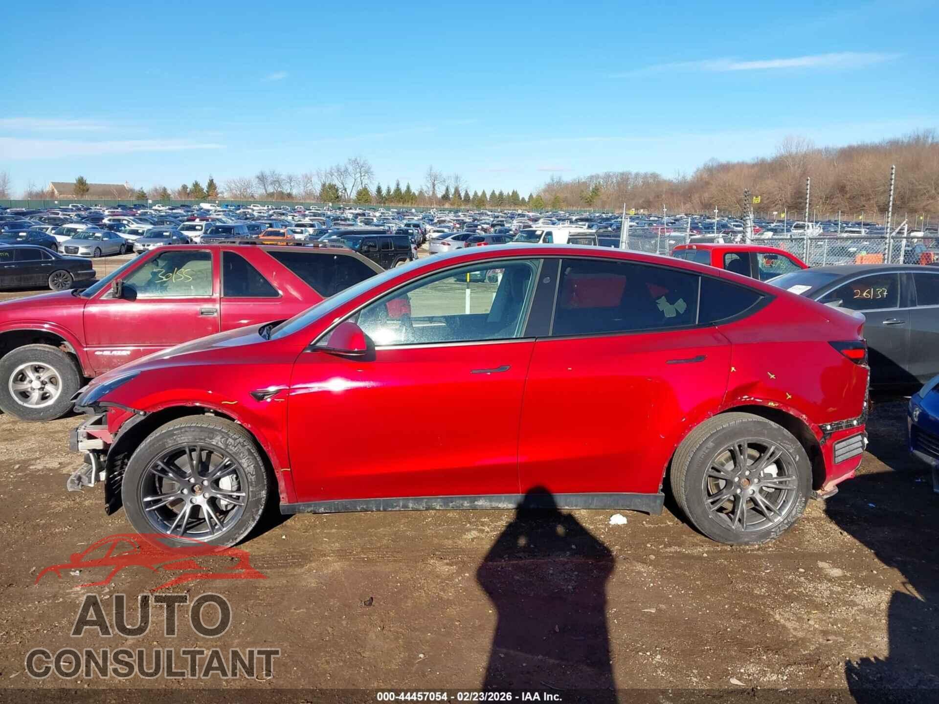 TESLA MODEL Y 2024 - 7SAYGDEE8RF155861