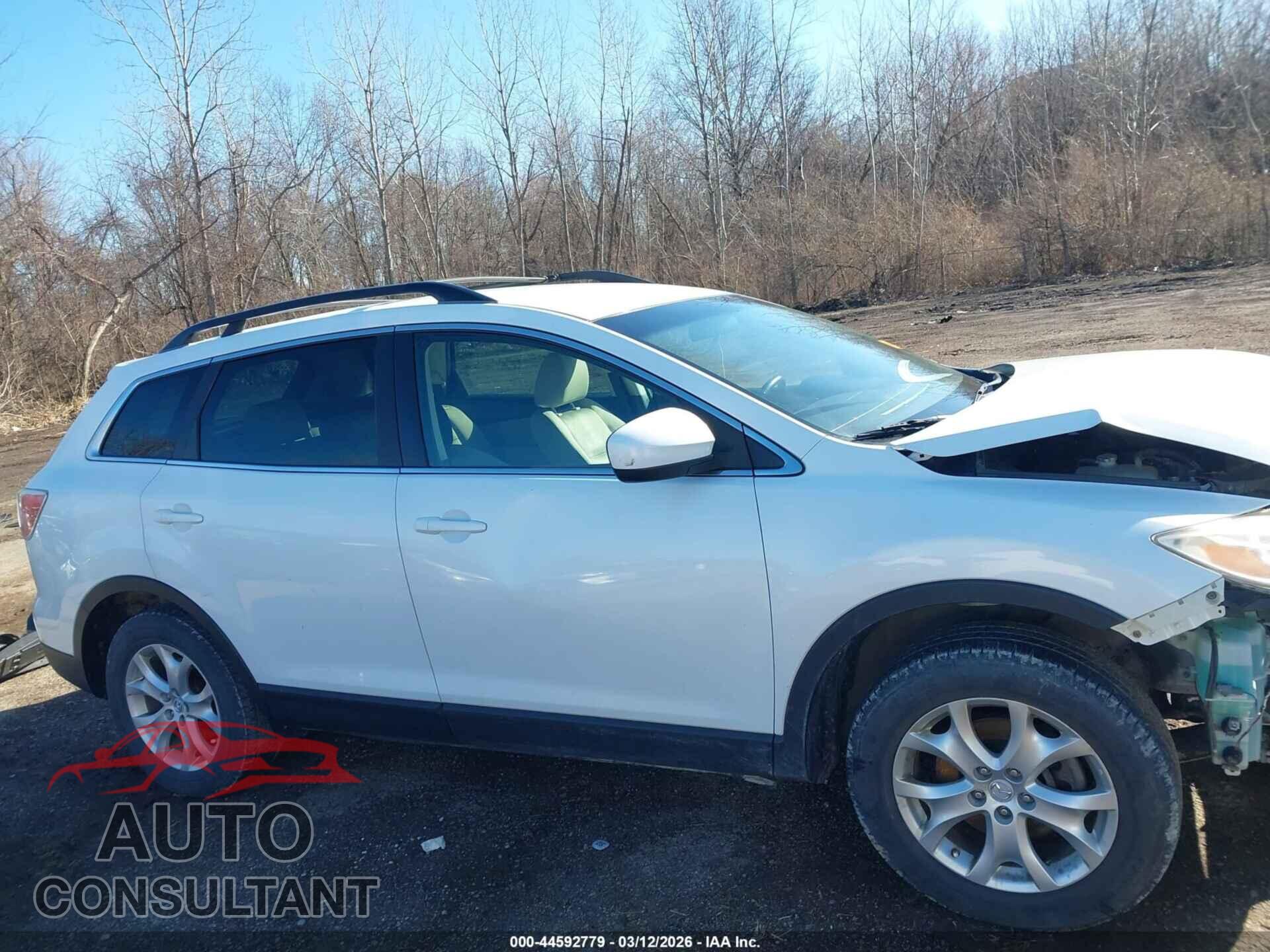 MAZDA CX-9 2011 - JM3TB3BA3B0317408