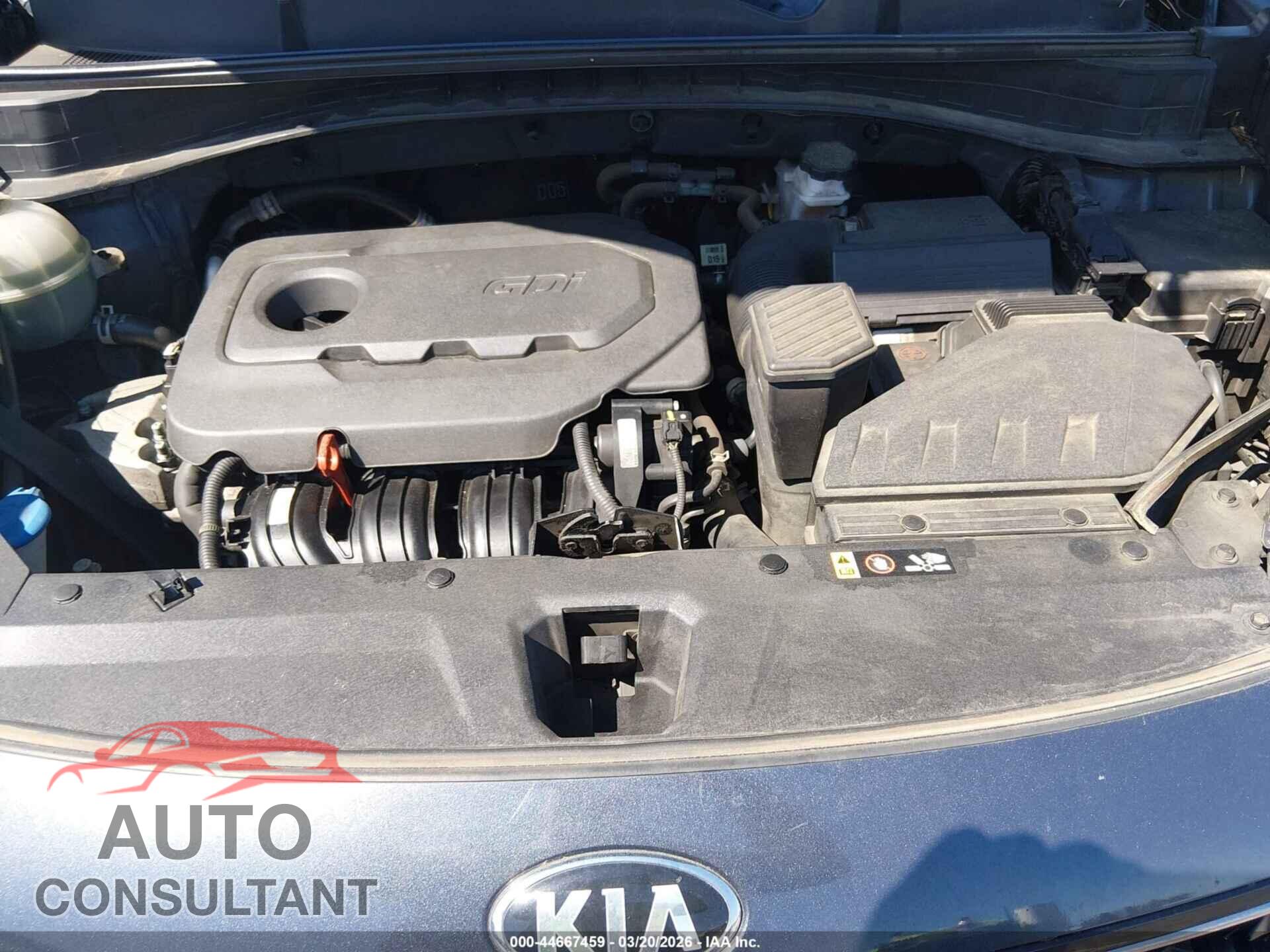 KIA SPORTAGE 2017 - KNDPMCAC7H7246964