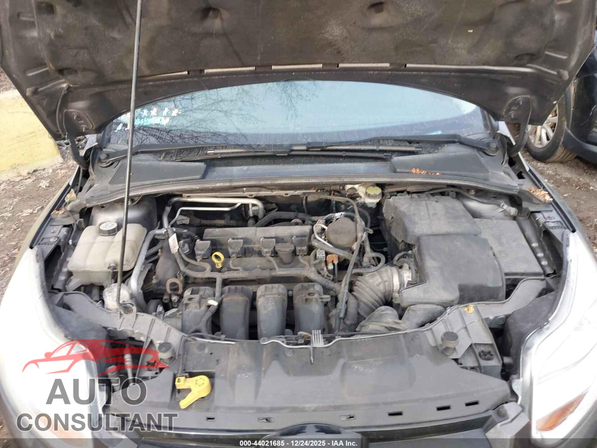 FORD FOCUS 2012 - 1FAHP3H21CL333743