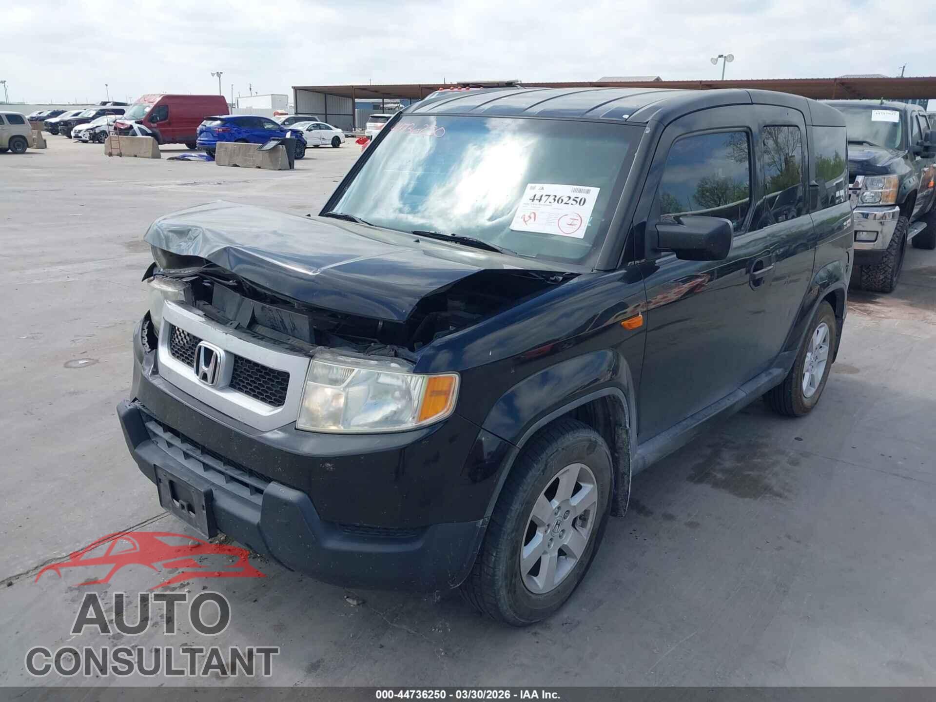 HONDA ELEMENT 2010 - 5J6YH1H78AL000034