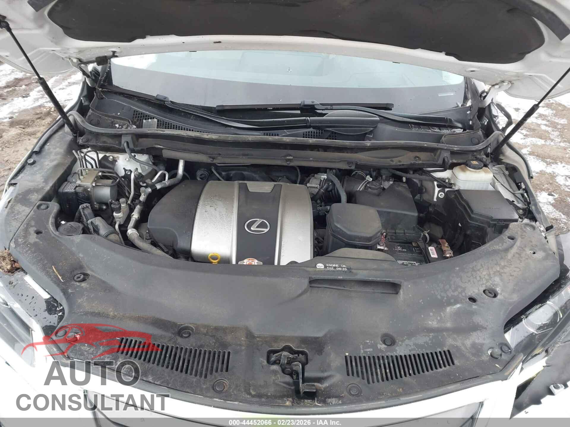 LEXUS RX 350 2019 - 2T2BZMCA0KC191613