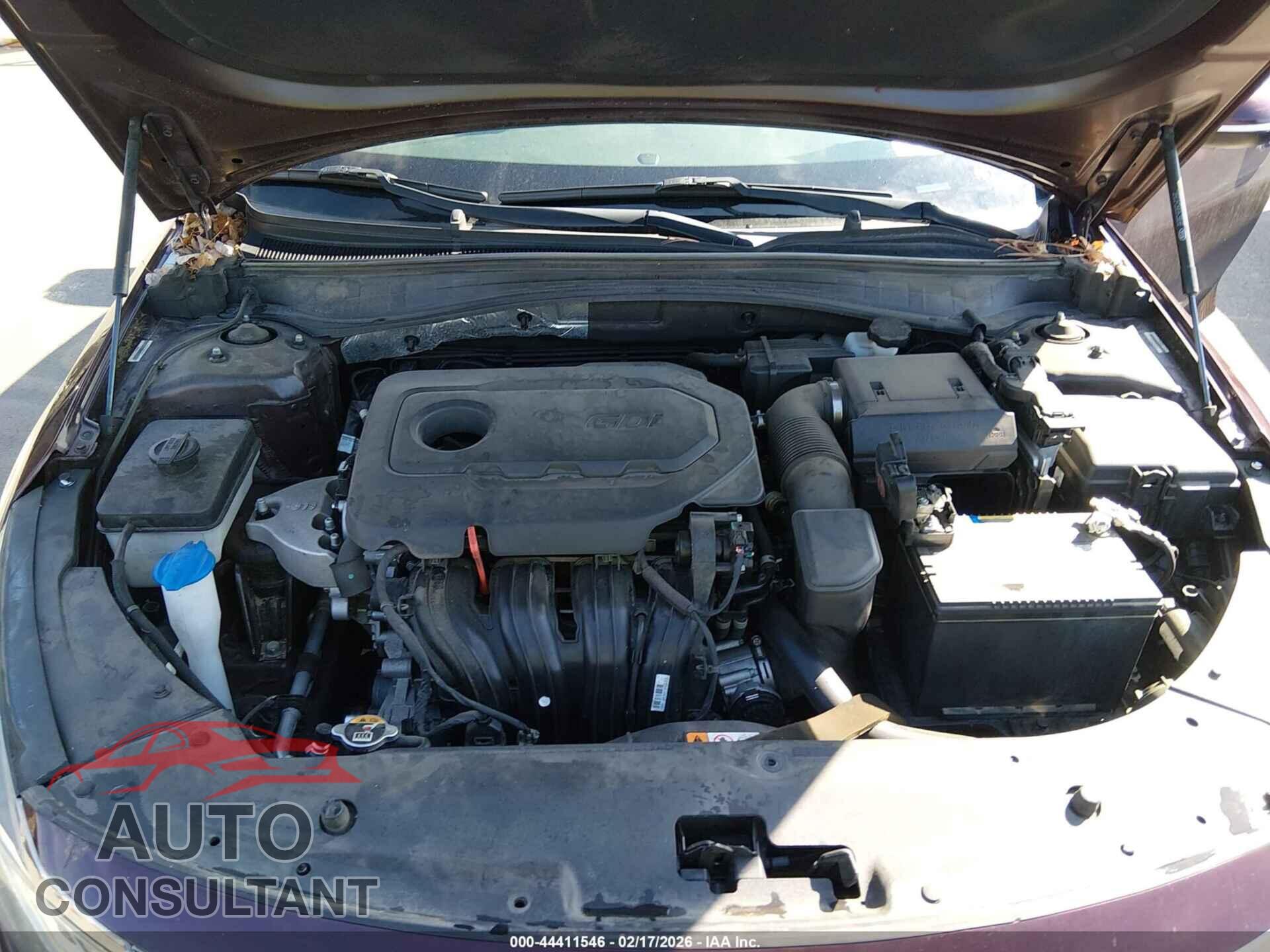 KIA OPTIMA 2019 - 5XXGT4L38KG377048