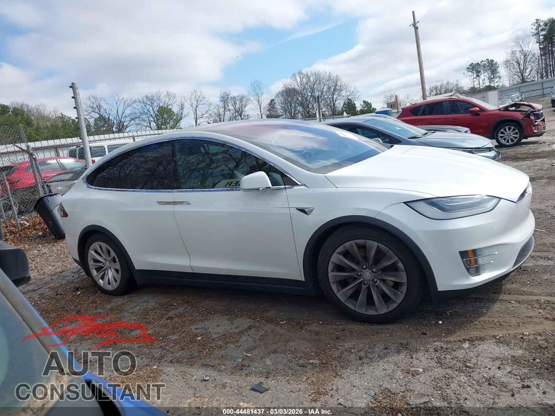 TESLA MODEL X 2019 - 5YJXCAE2XKF195227