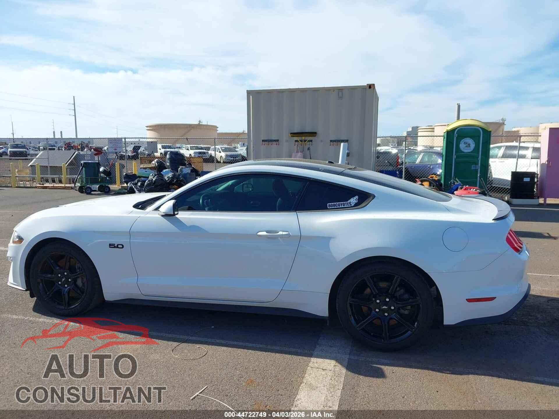FORD MUSTANG 2019 - 1FA6P8CF3K5161359