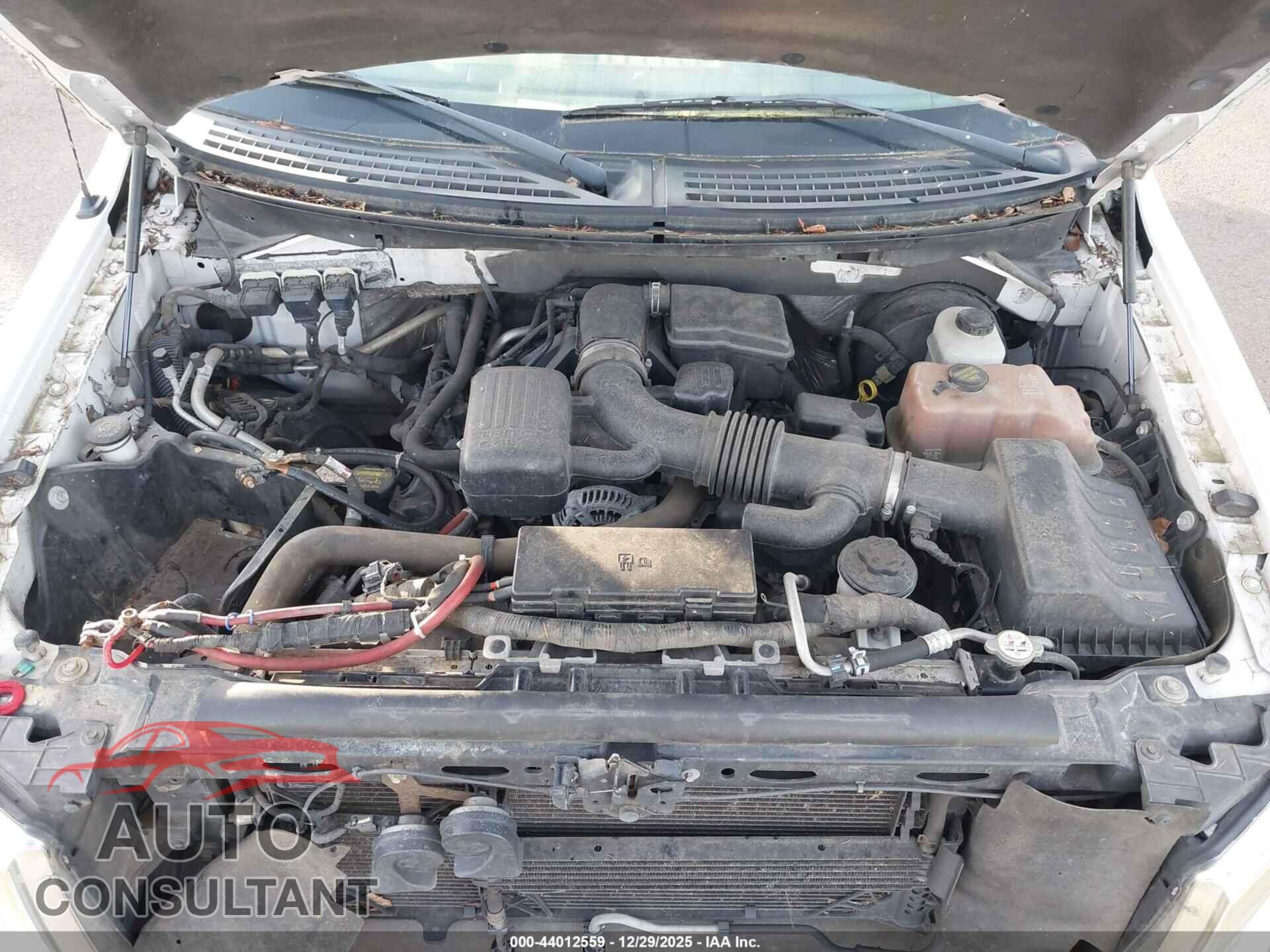 FORD F-150 2010 - 1FTFX1CV2AFB18228