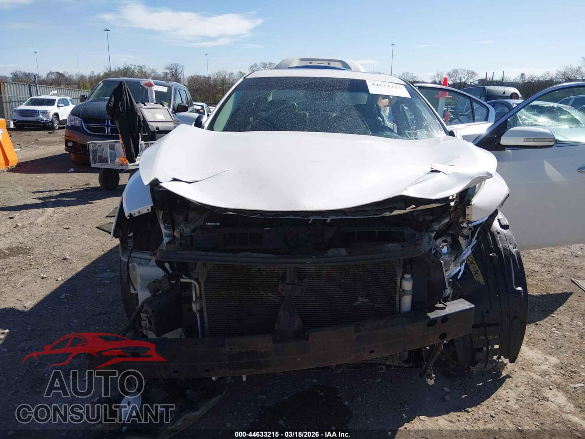 NISSAN MAXIMA 2009 - 1N4AA51E19C830903